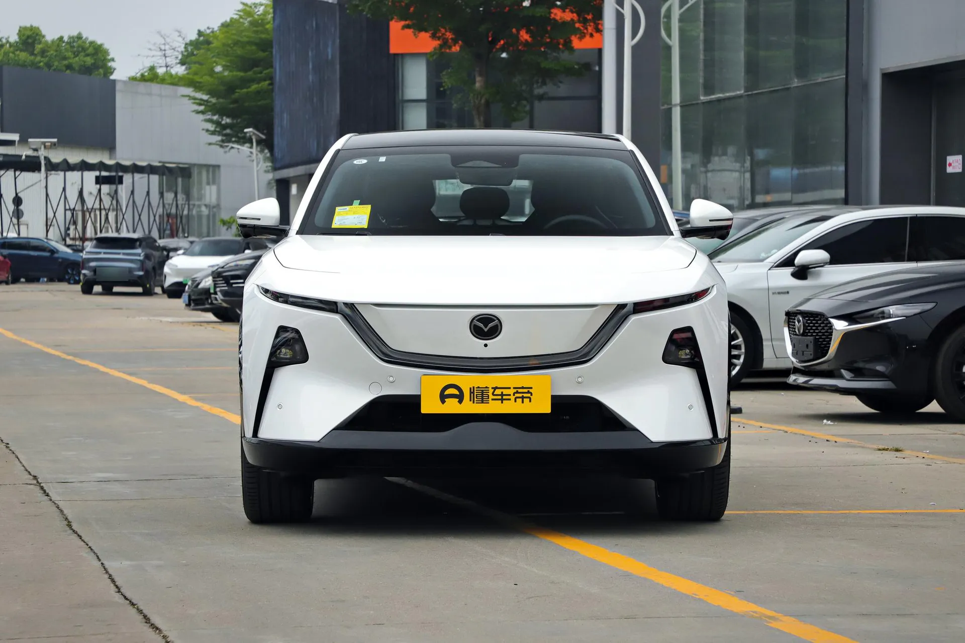  EZ-60 Range Extender Max Sport