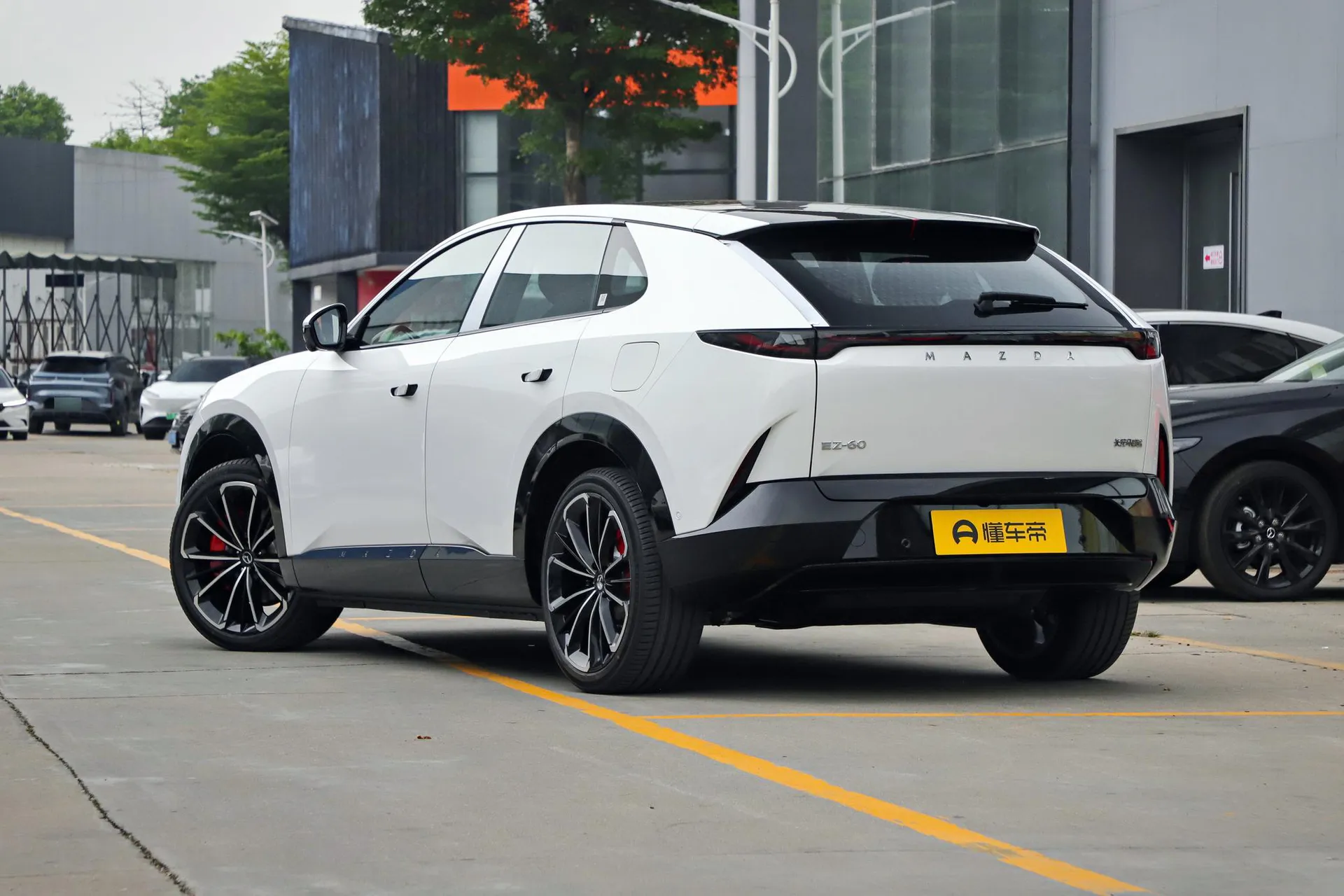  EZ-60 Range Extender Max Sport