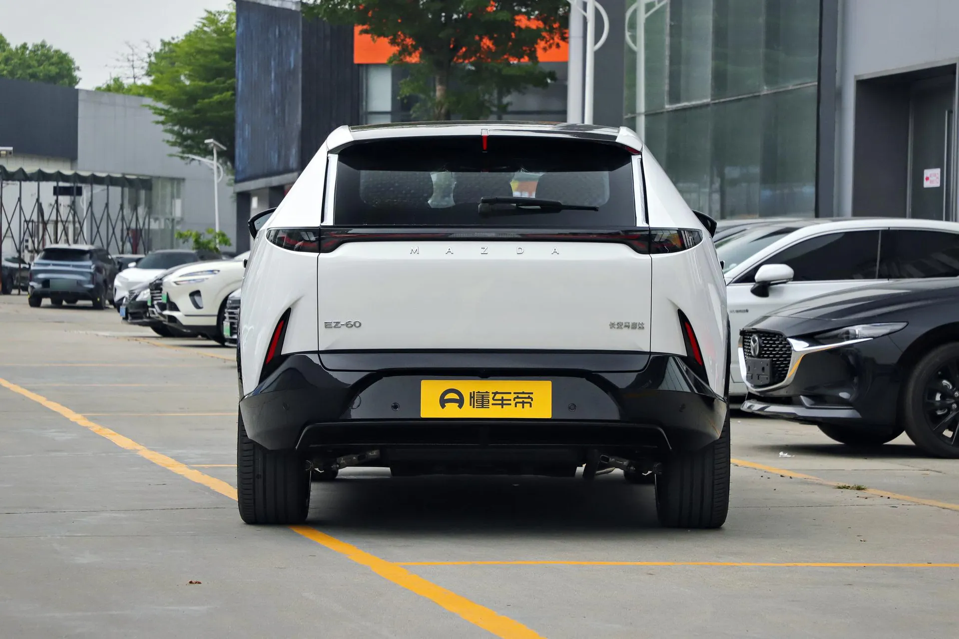  EZ-60 Range Extender Max Sport
