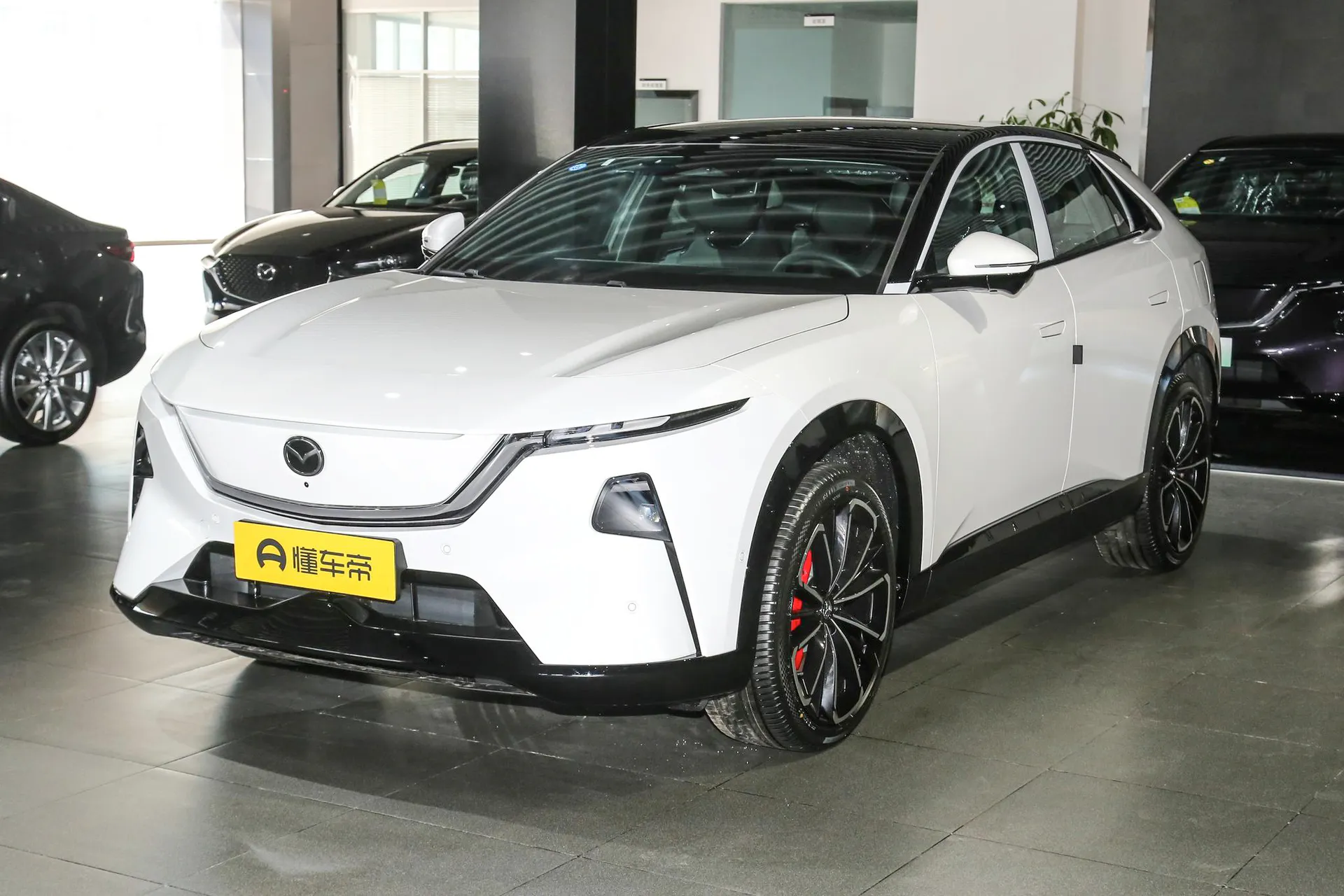 EZ-60 Range Extender Max Sport