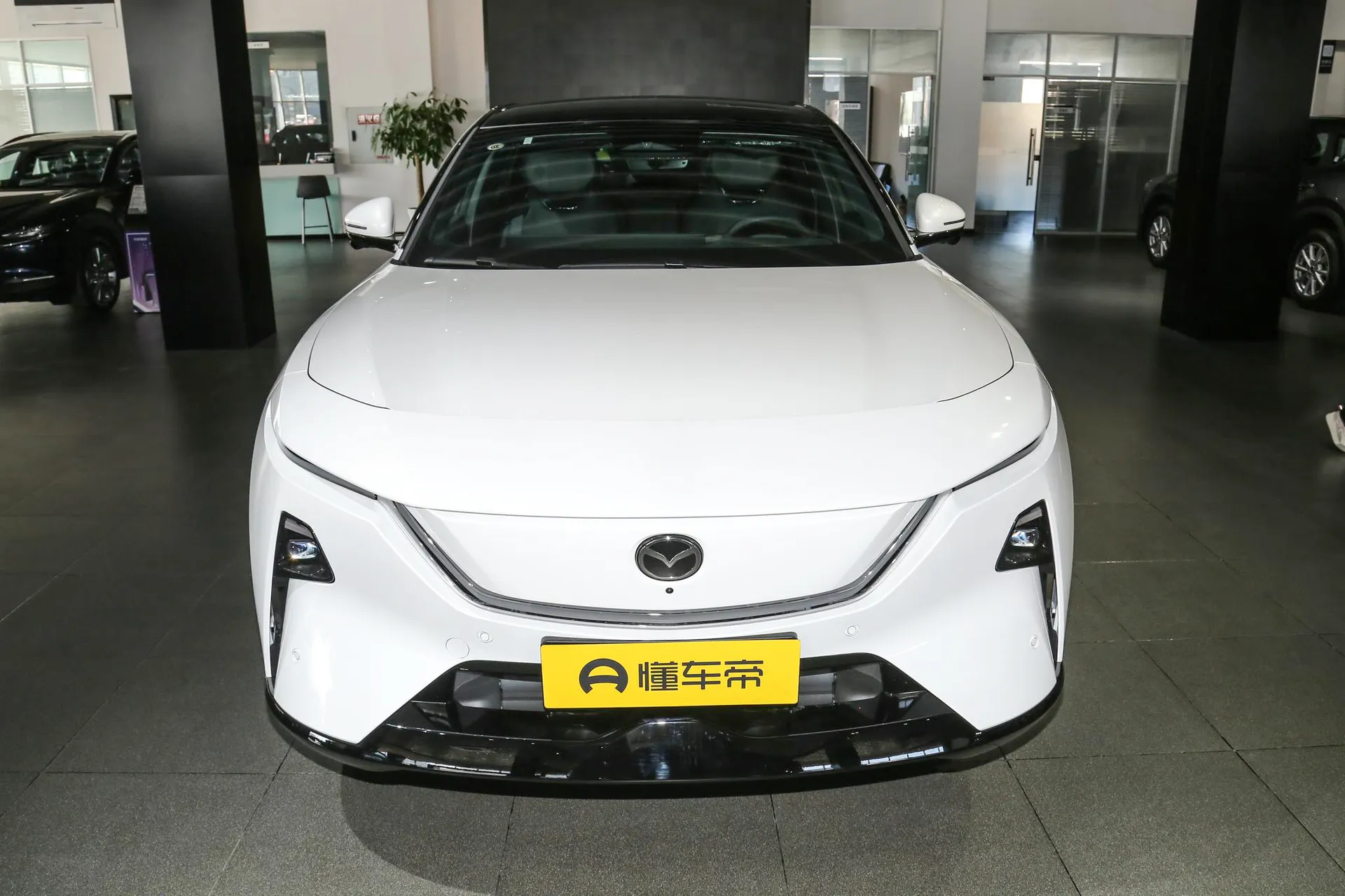  EZ-60 Range Extender Max Sport