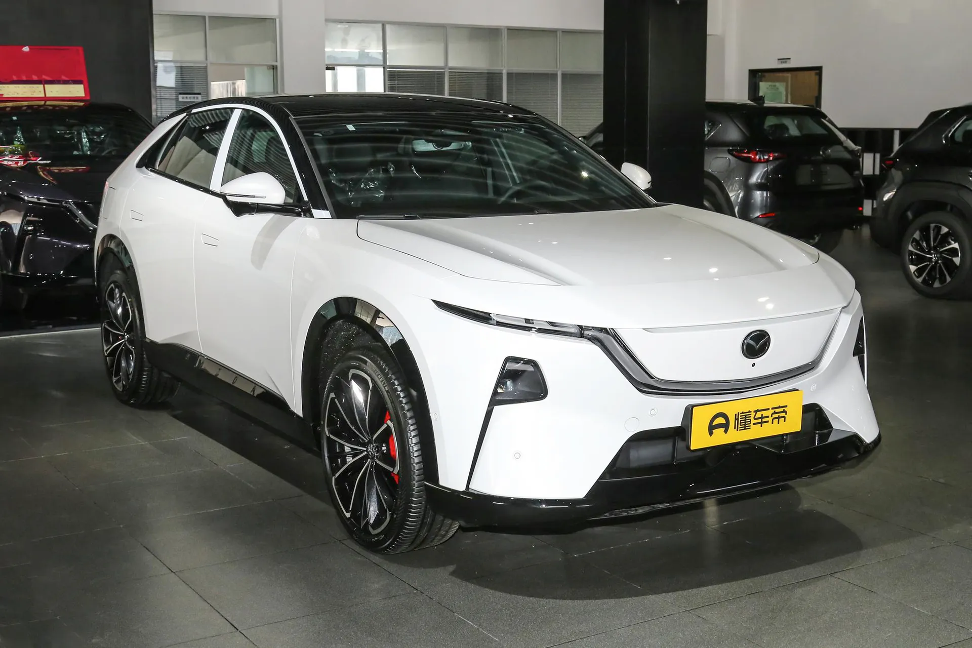  EZ-60 Range Extender Max Sport