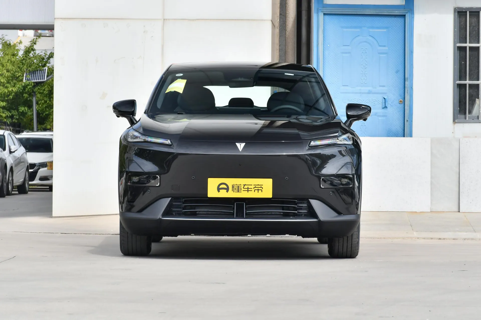  S05 520 Max Pure EV