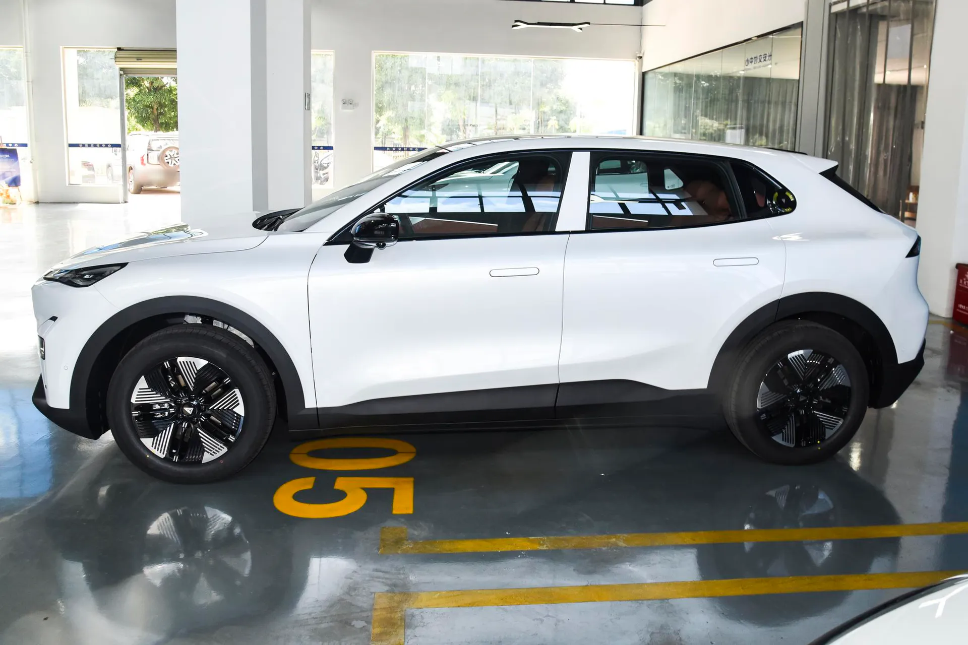  S05 520 Max Pure EV