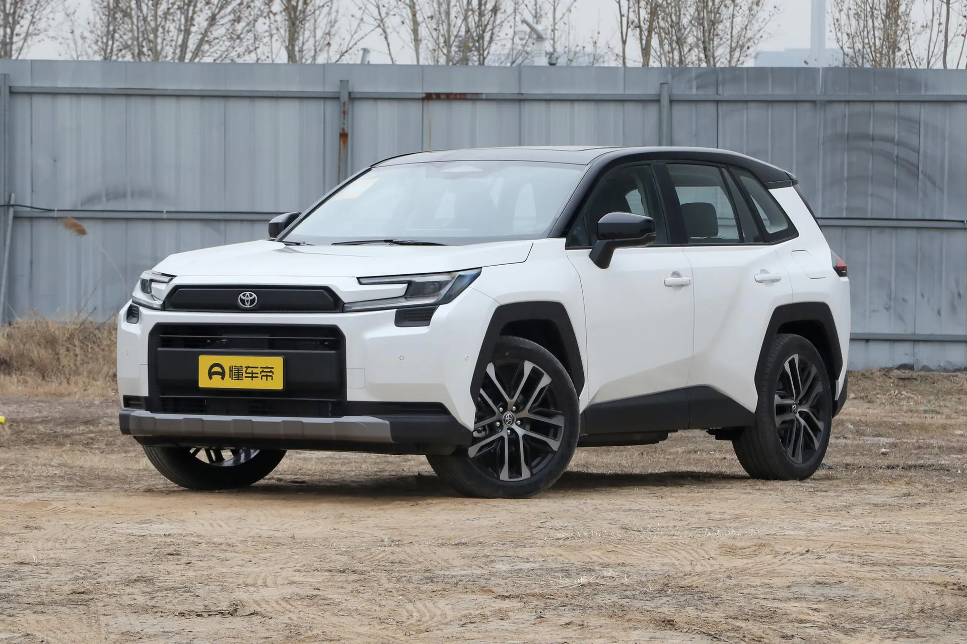  RAV4 Dual Engine 2.5L AWD Flagship