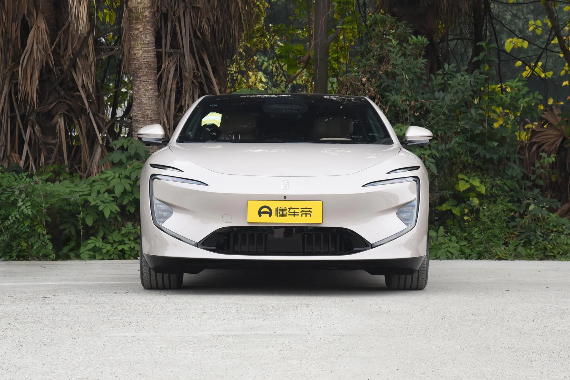  12 Ultra AWD Pure EV