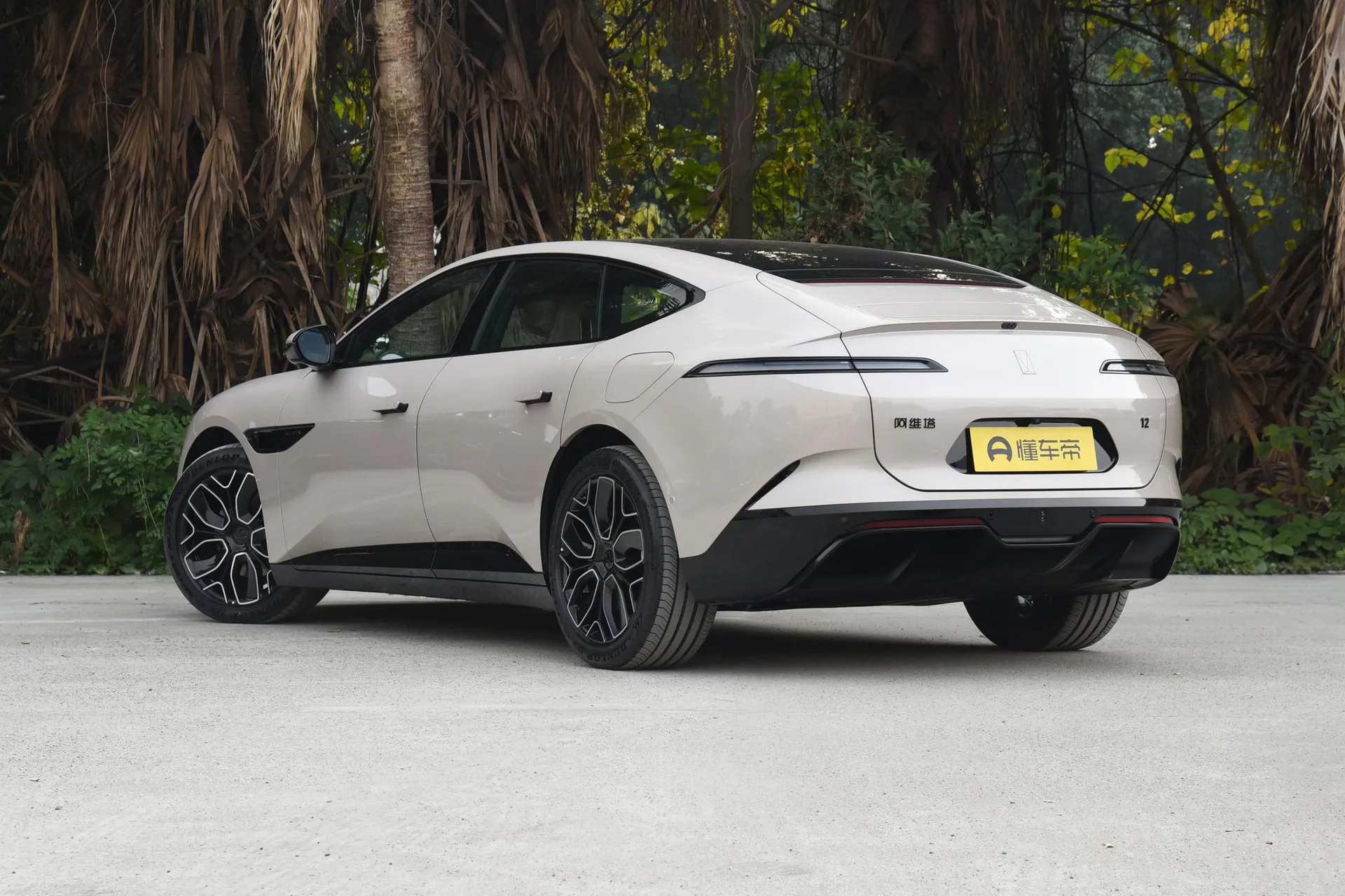  12 Ultra AWD Pure EV
