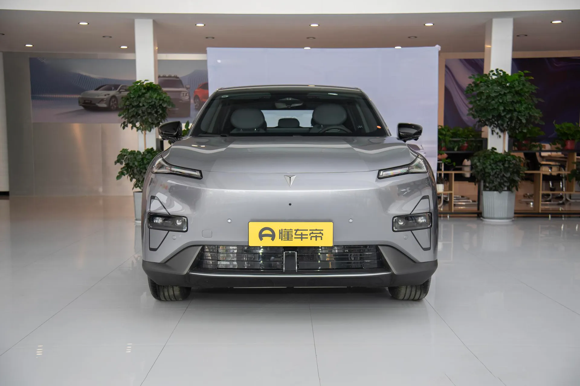  S05 520 Plus Pure EV