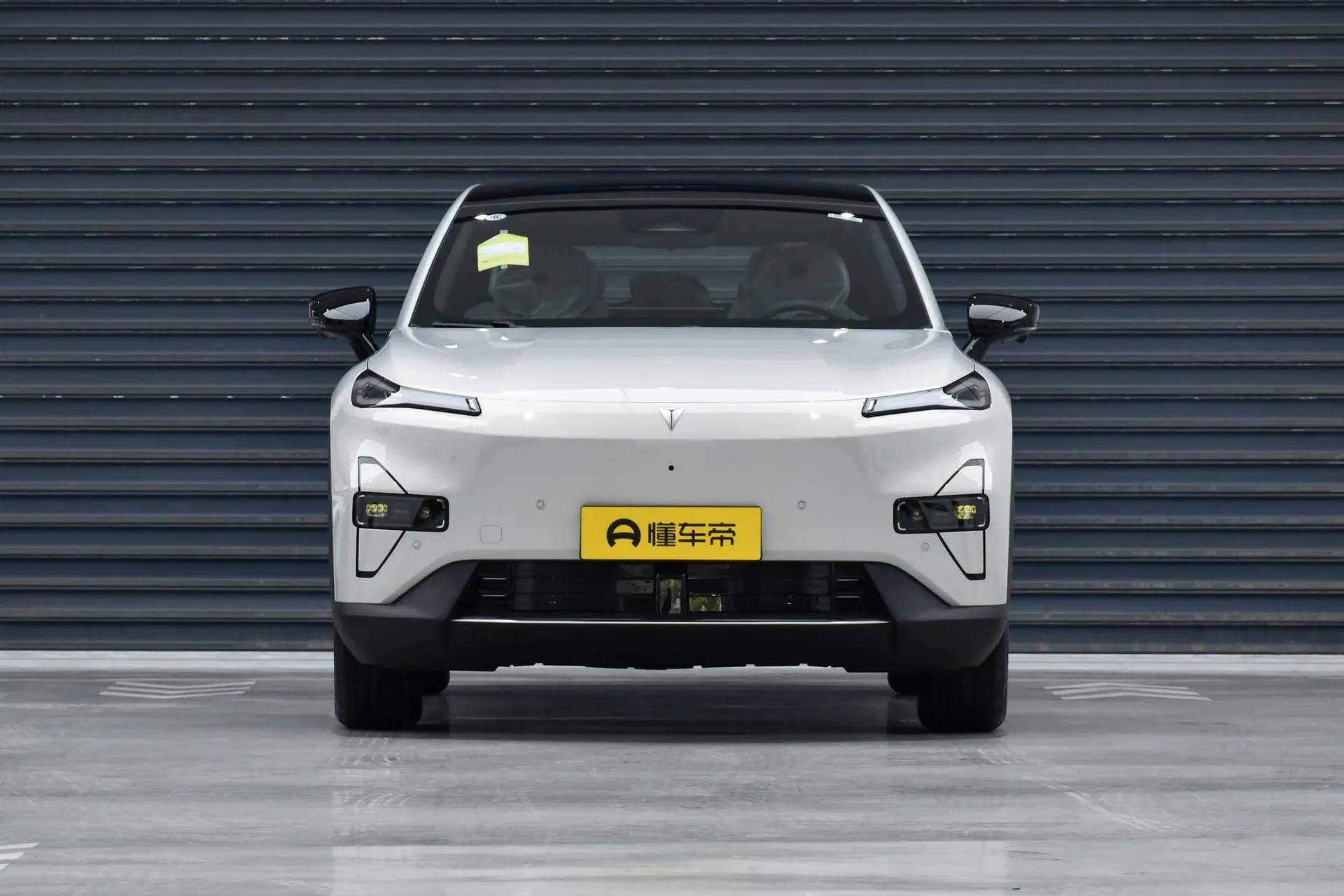  S05 520 Plus Pure EV