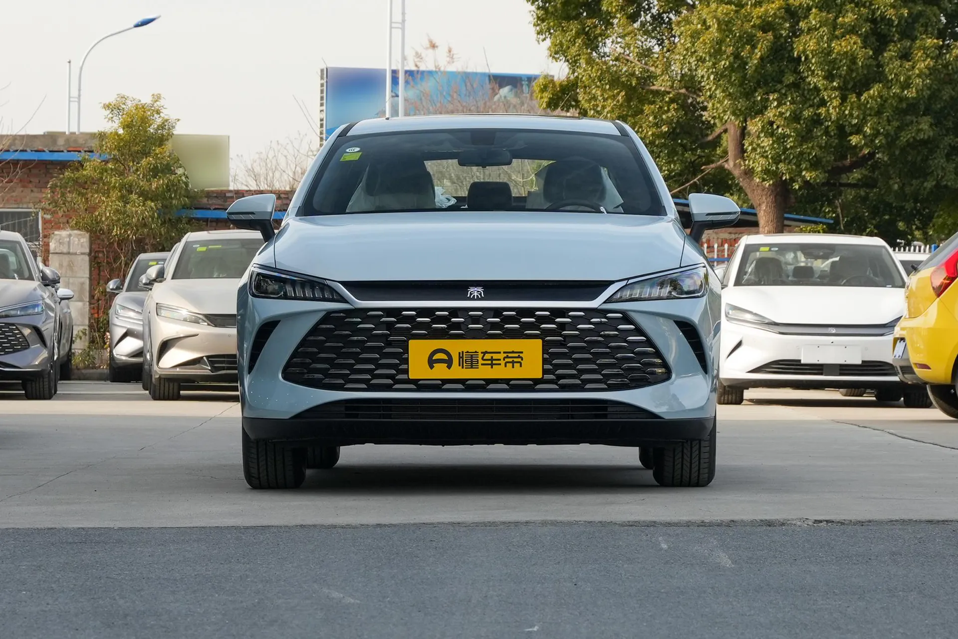  Qin Plus DM-i 210 KM Progressive