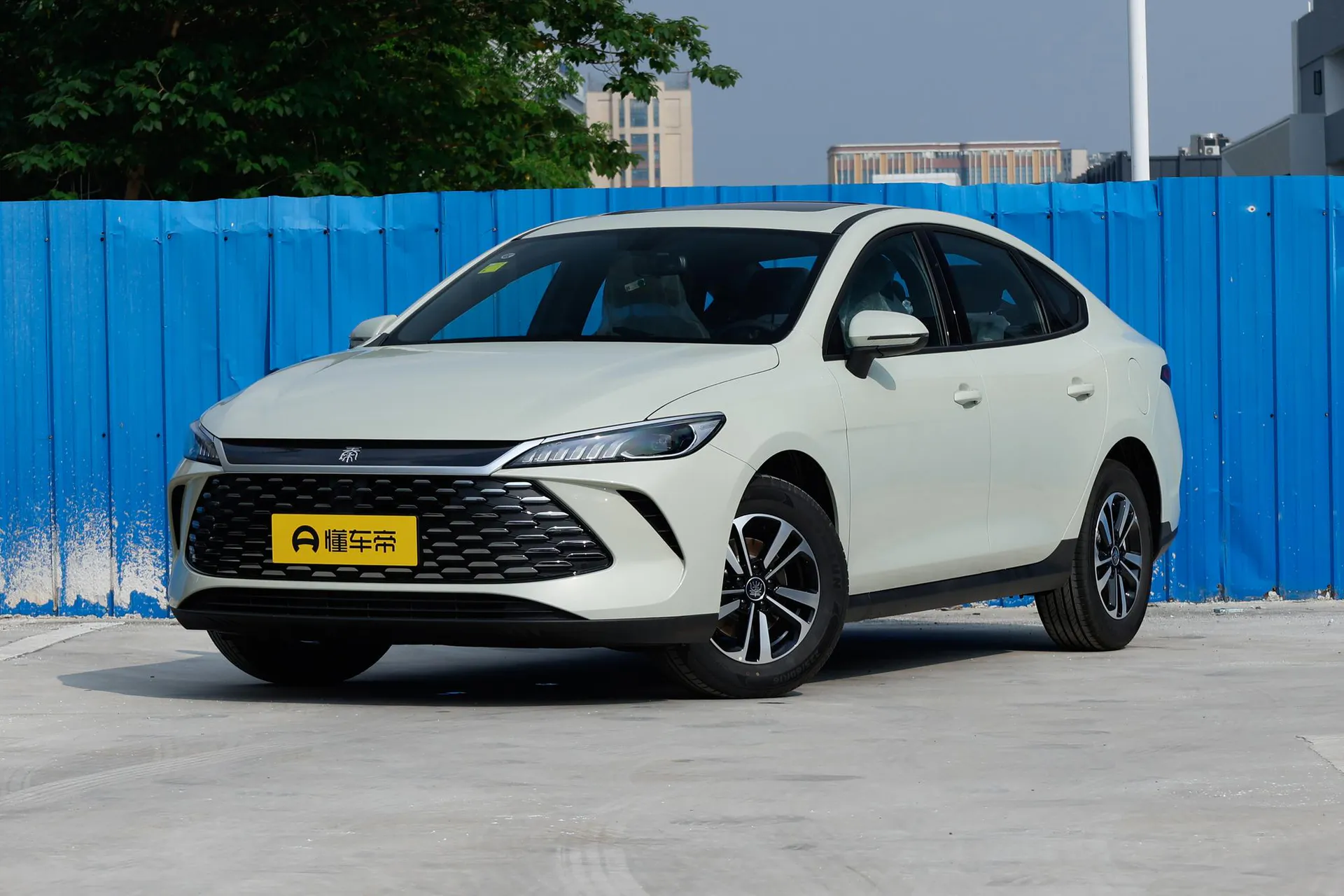  Qin Plus DM-i 210 KM Progressive