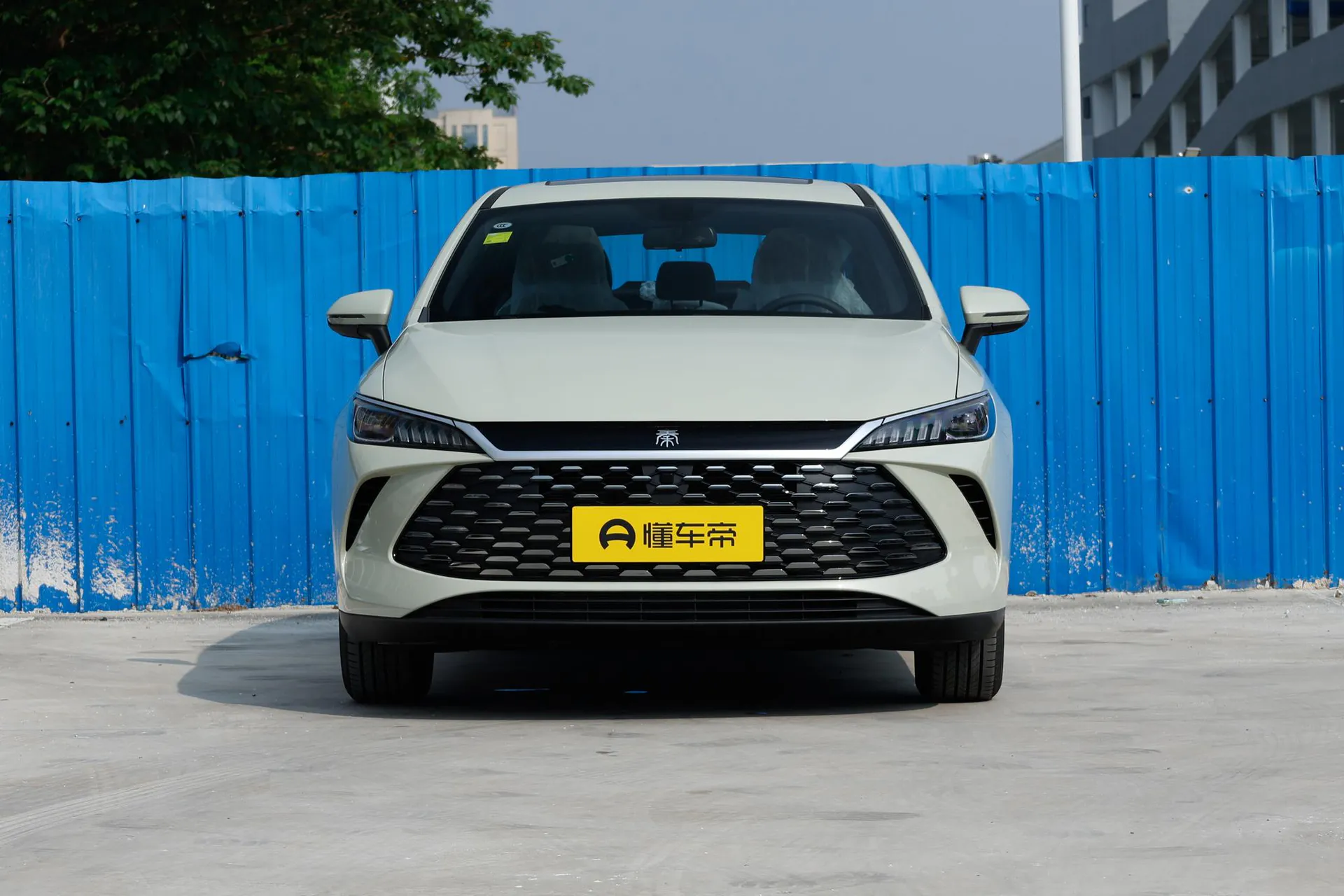  Qin Plus DM-i 210 KM Progressive