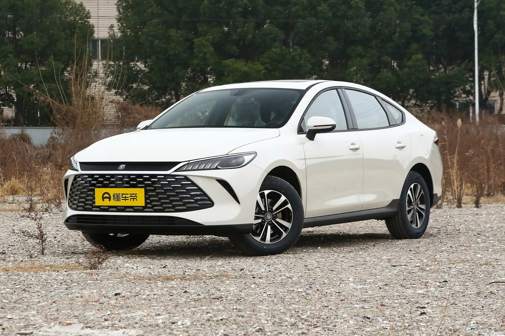  Qin Plus DM-i 210 KM Progressive
