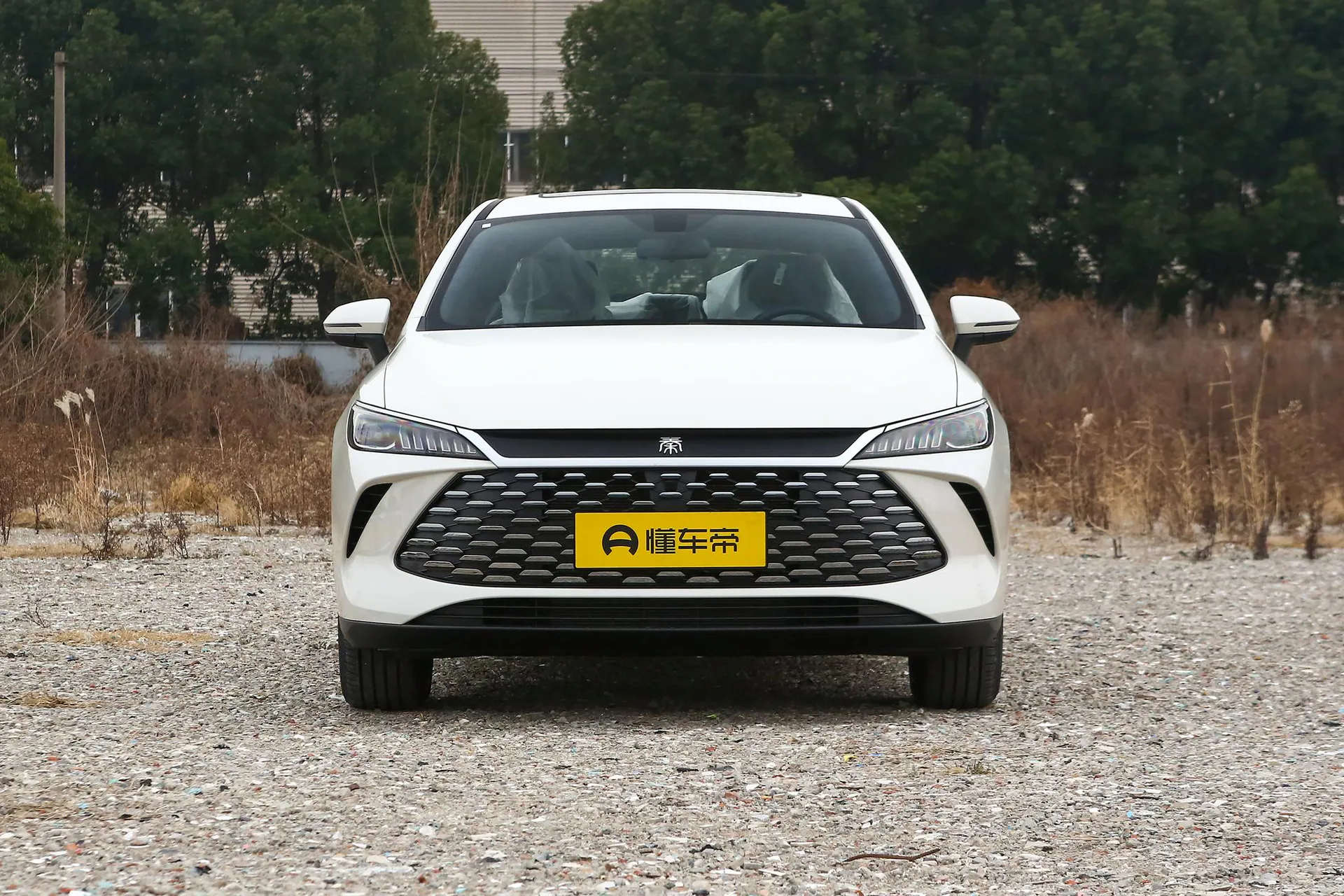  Qin Plus DM-i 210 KM Progressive