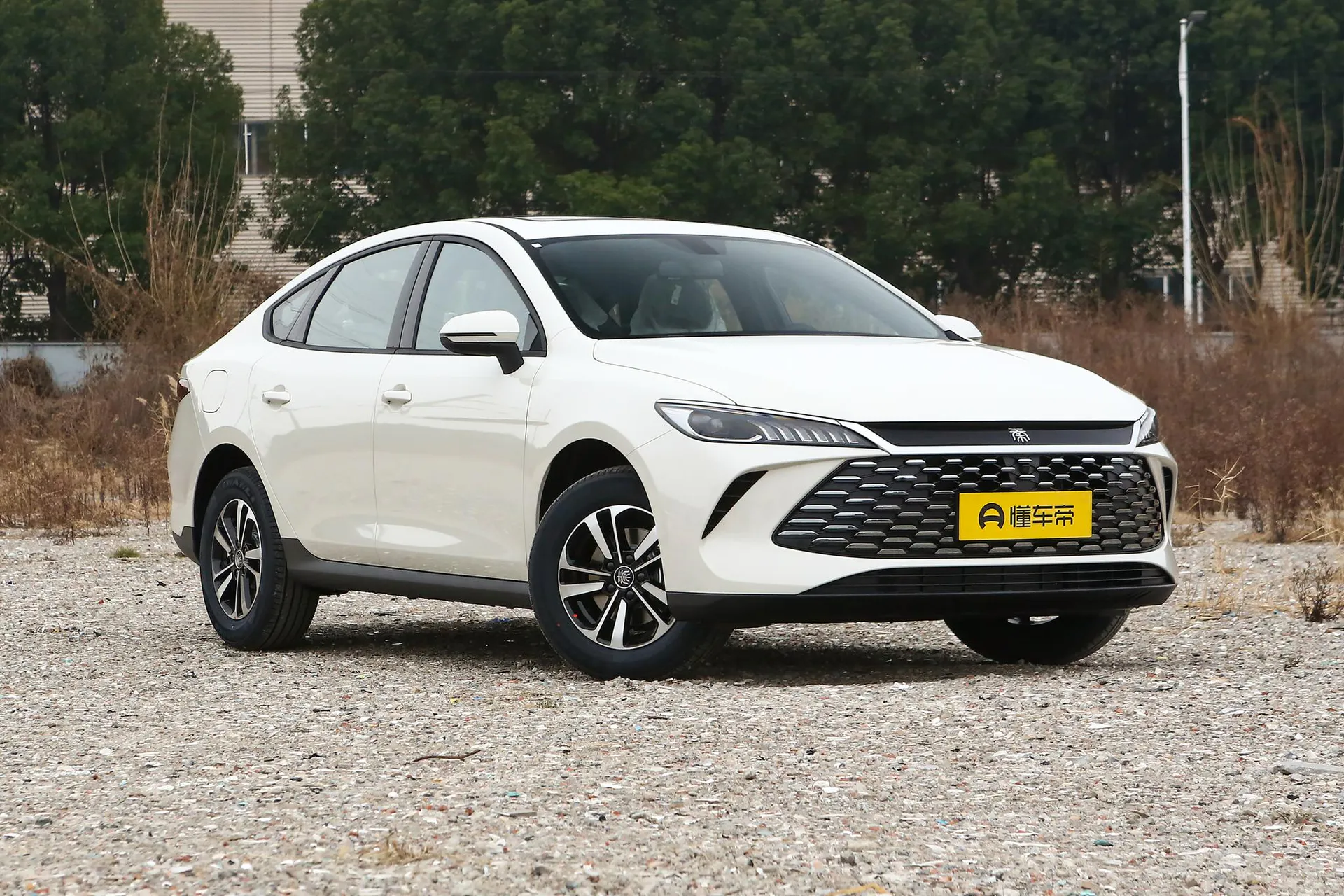  Qin Plus DM-i 210 KM Progressive