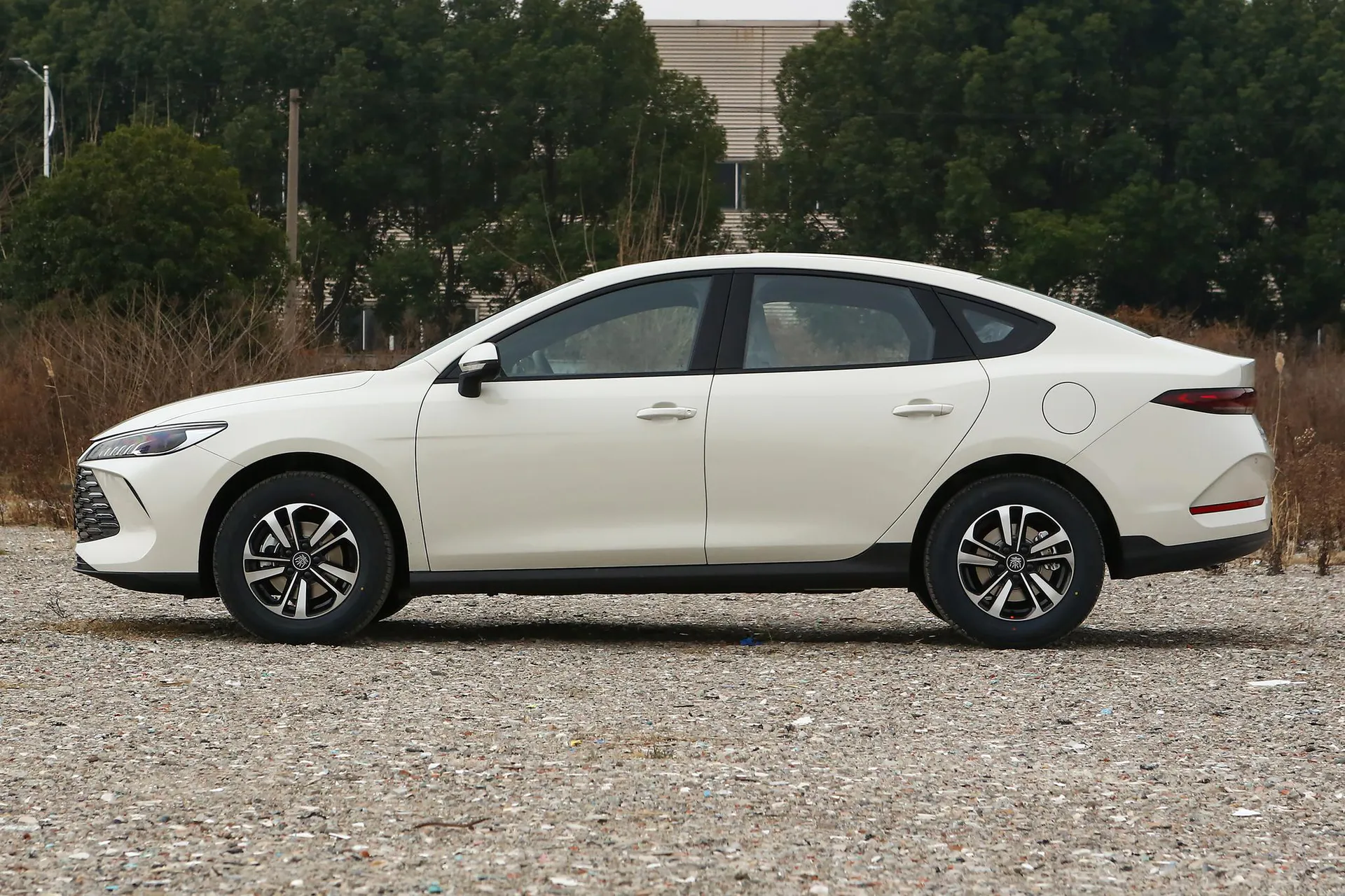  Qin Plus DM-i 210 KM Progressive