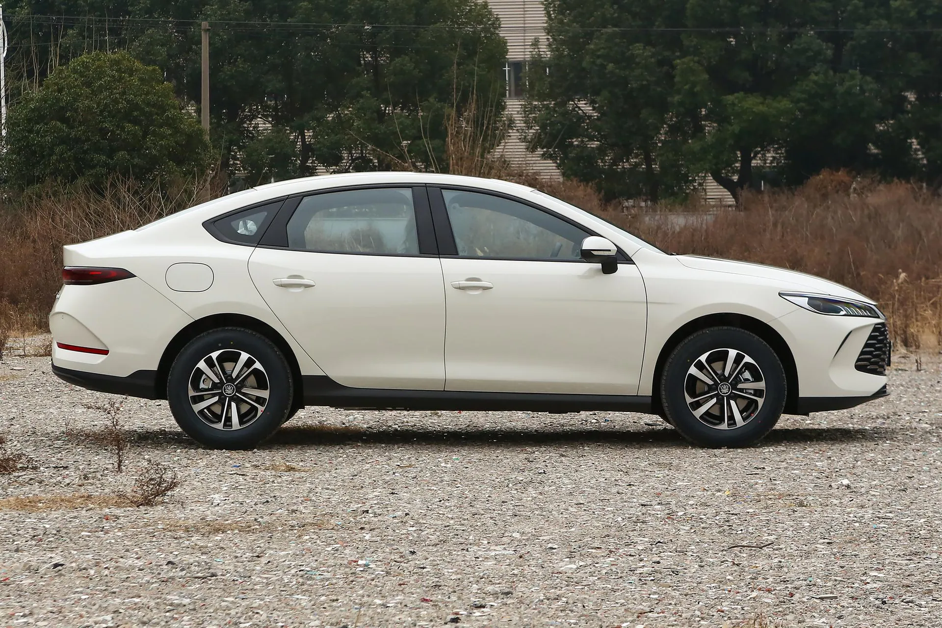  Qin Plus DM-i 210 KM Progressive