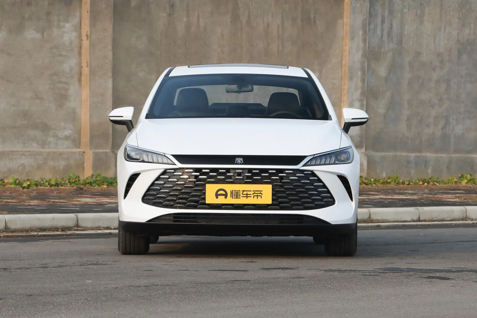  Qin Plus DM-i 210 KM Progressive