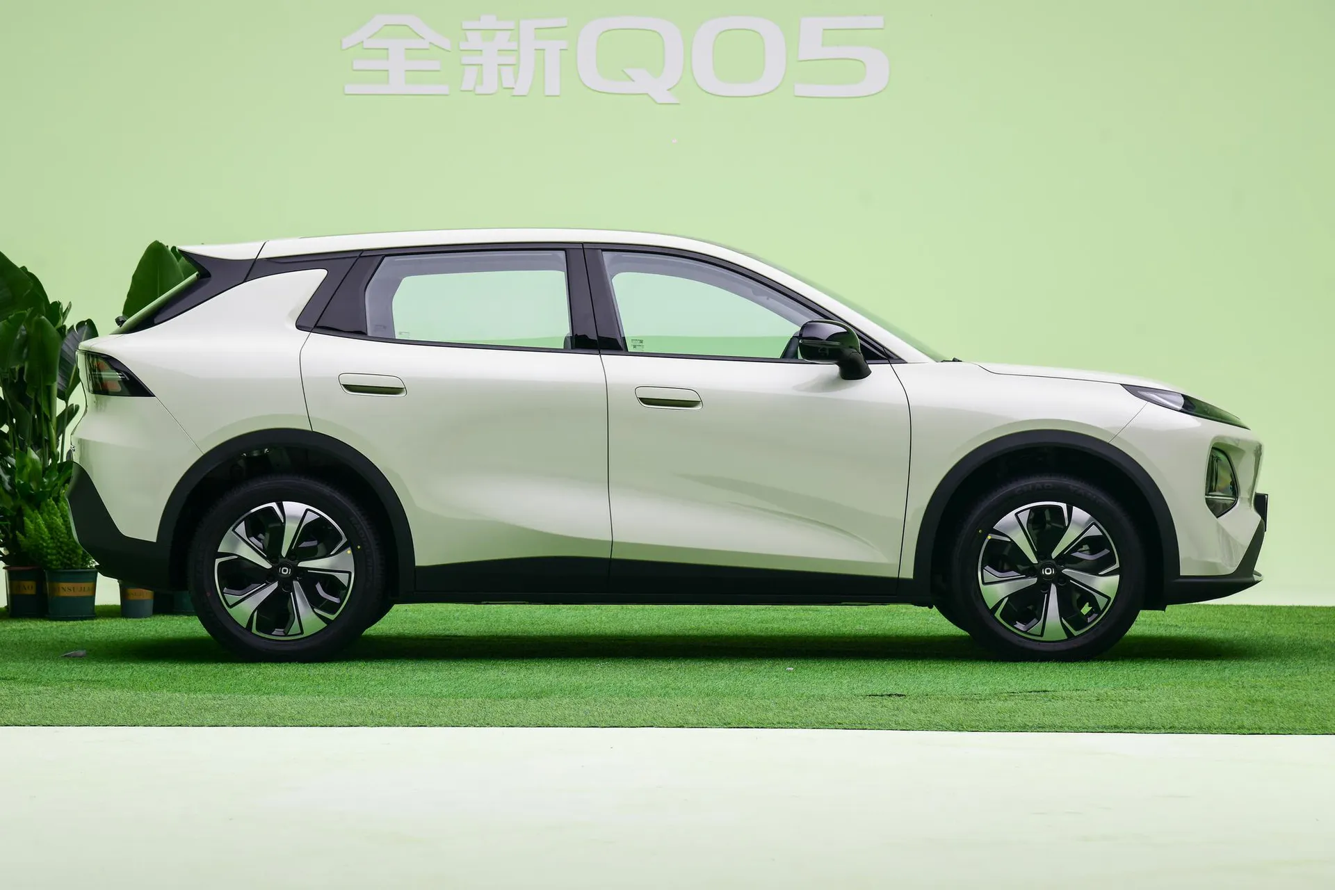  Q05 506 Max