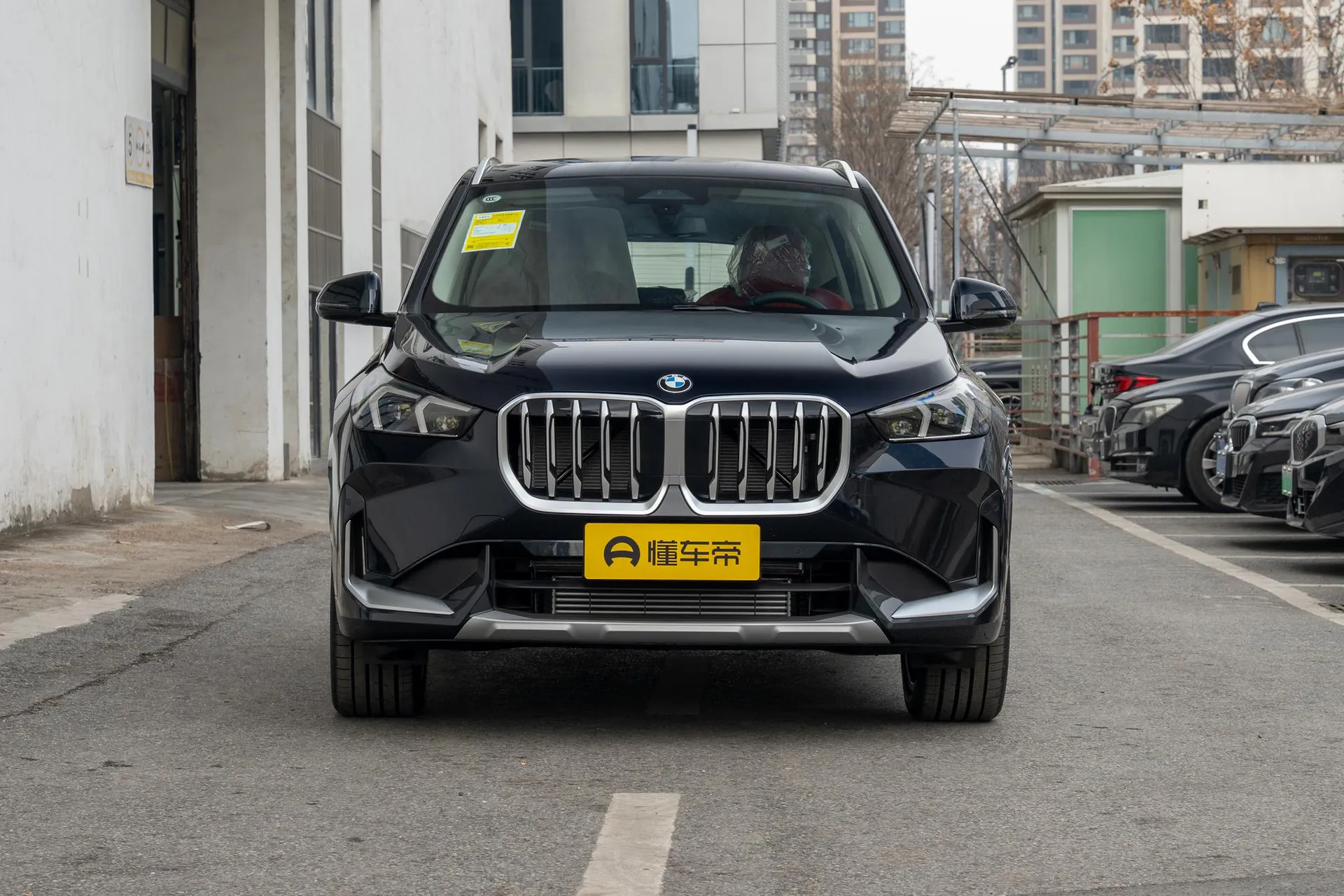  X1 sDrive 25 Li X Design Package