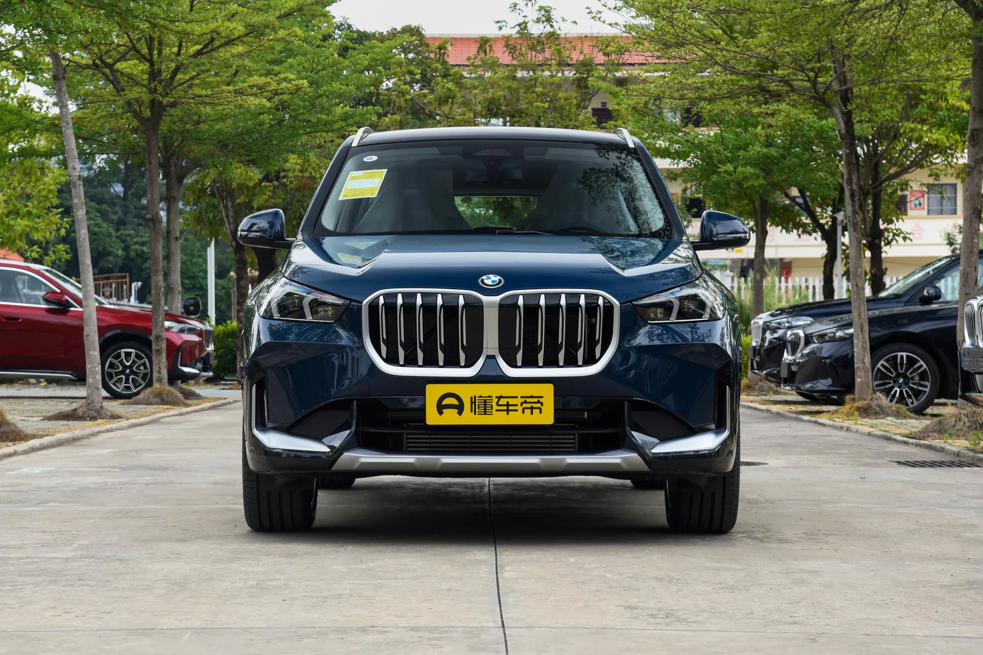  X1 sDrive 25 Li X Design Package