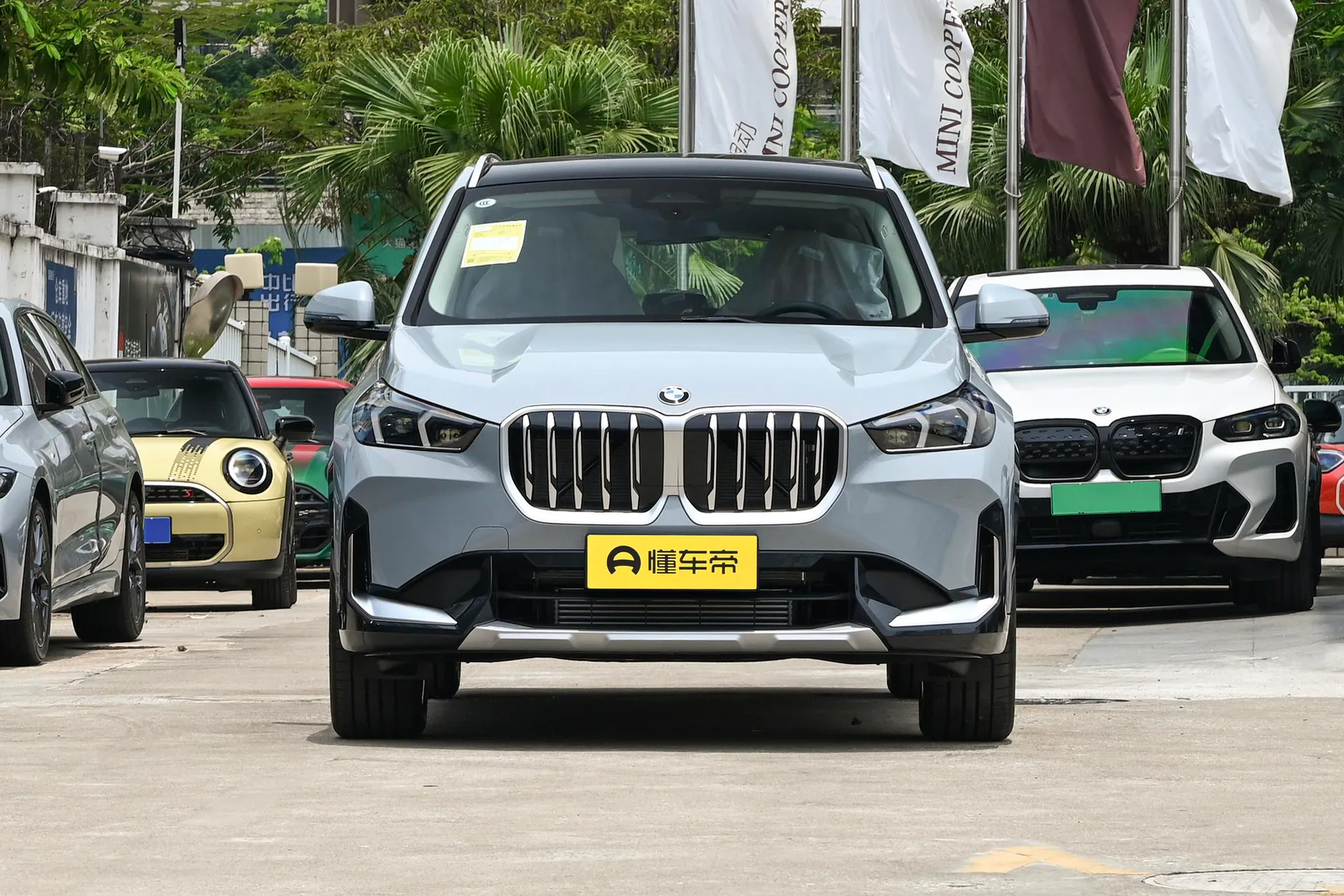  X1 sDrive 25 Li X Design Package