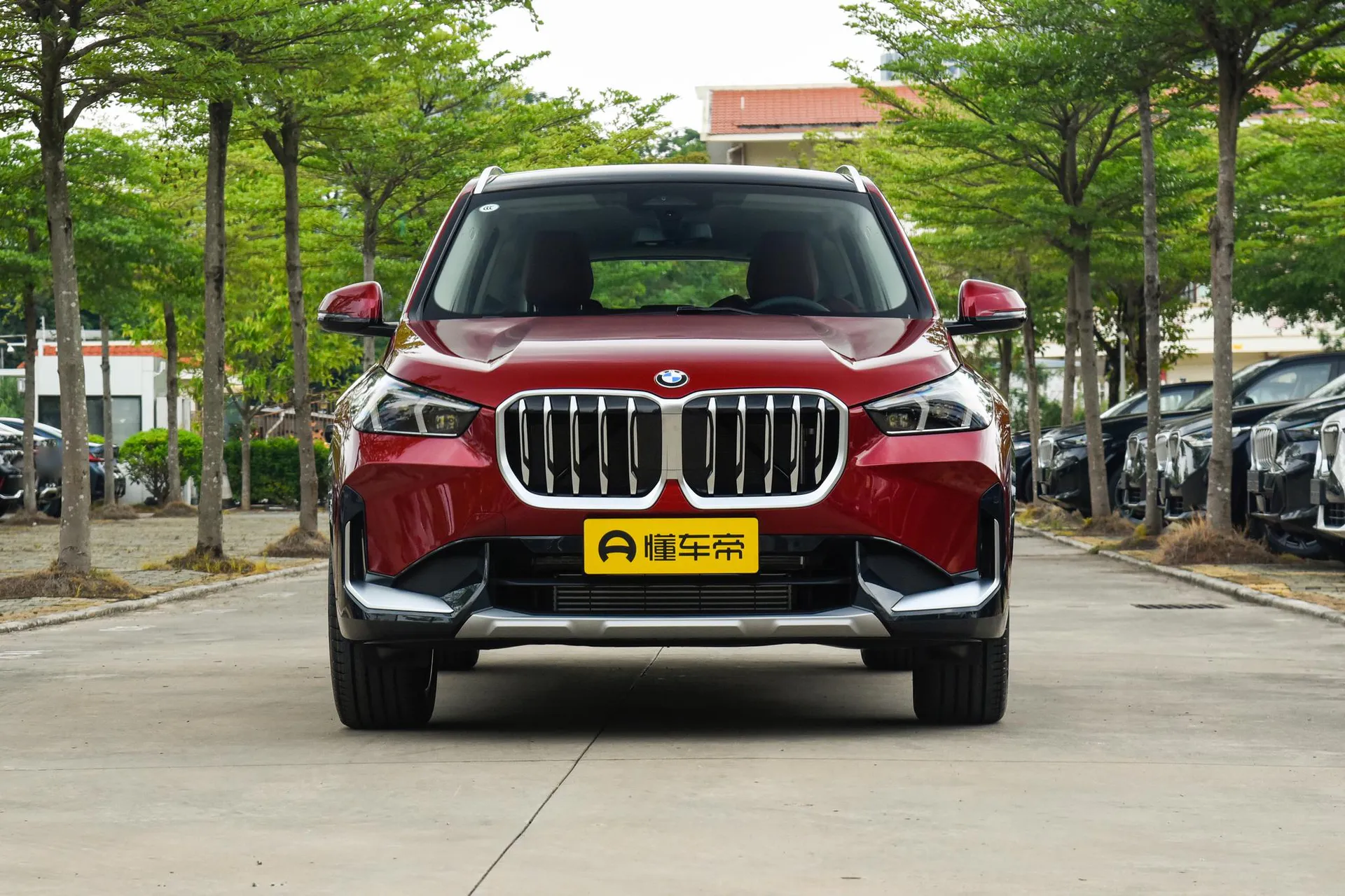  X1 sDrive 25 Li X Design Package