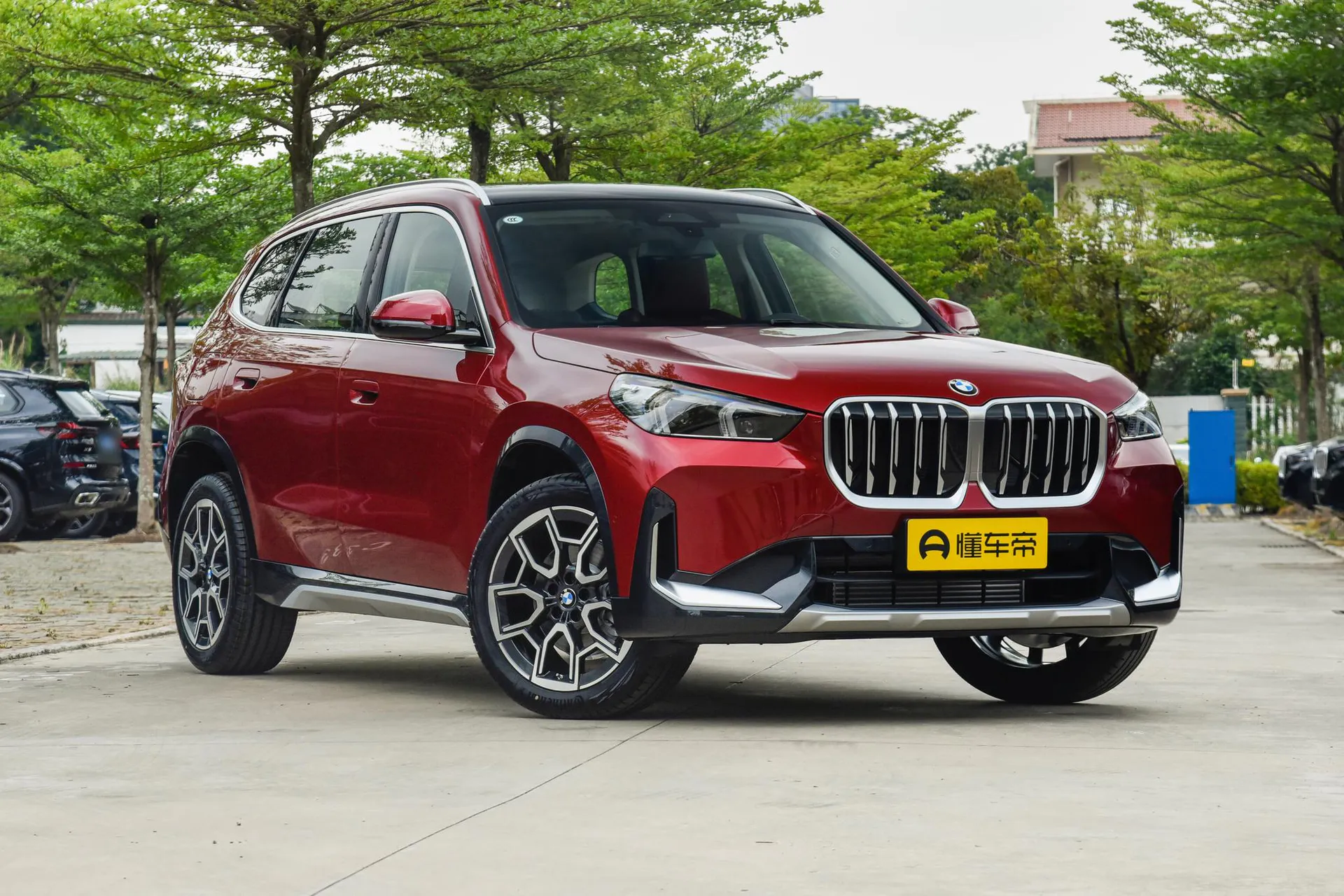  X1 sDrive 25 Li X Design Package