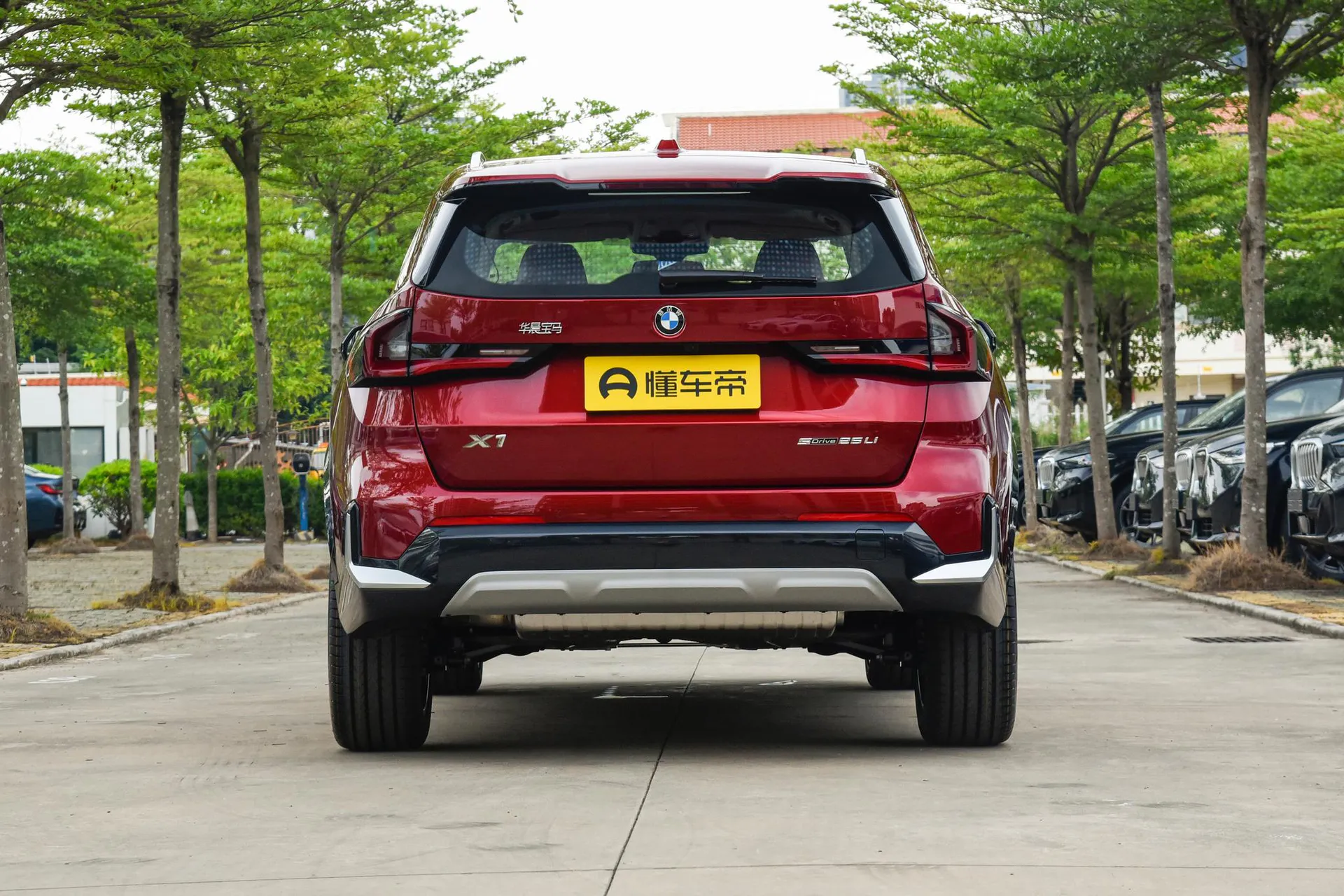  X1 sDrive 25 Li X Design Package