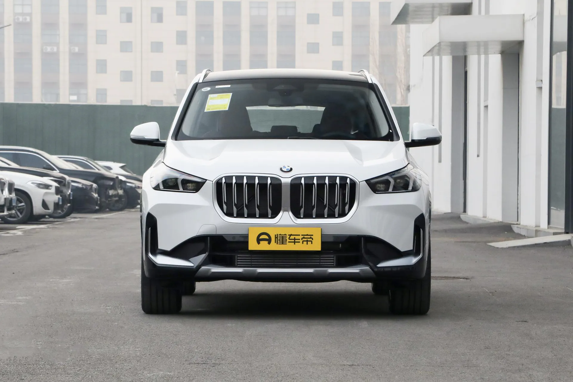  X1 sDrive 25 Li X Design Package