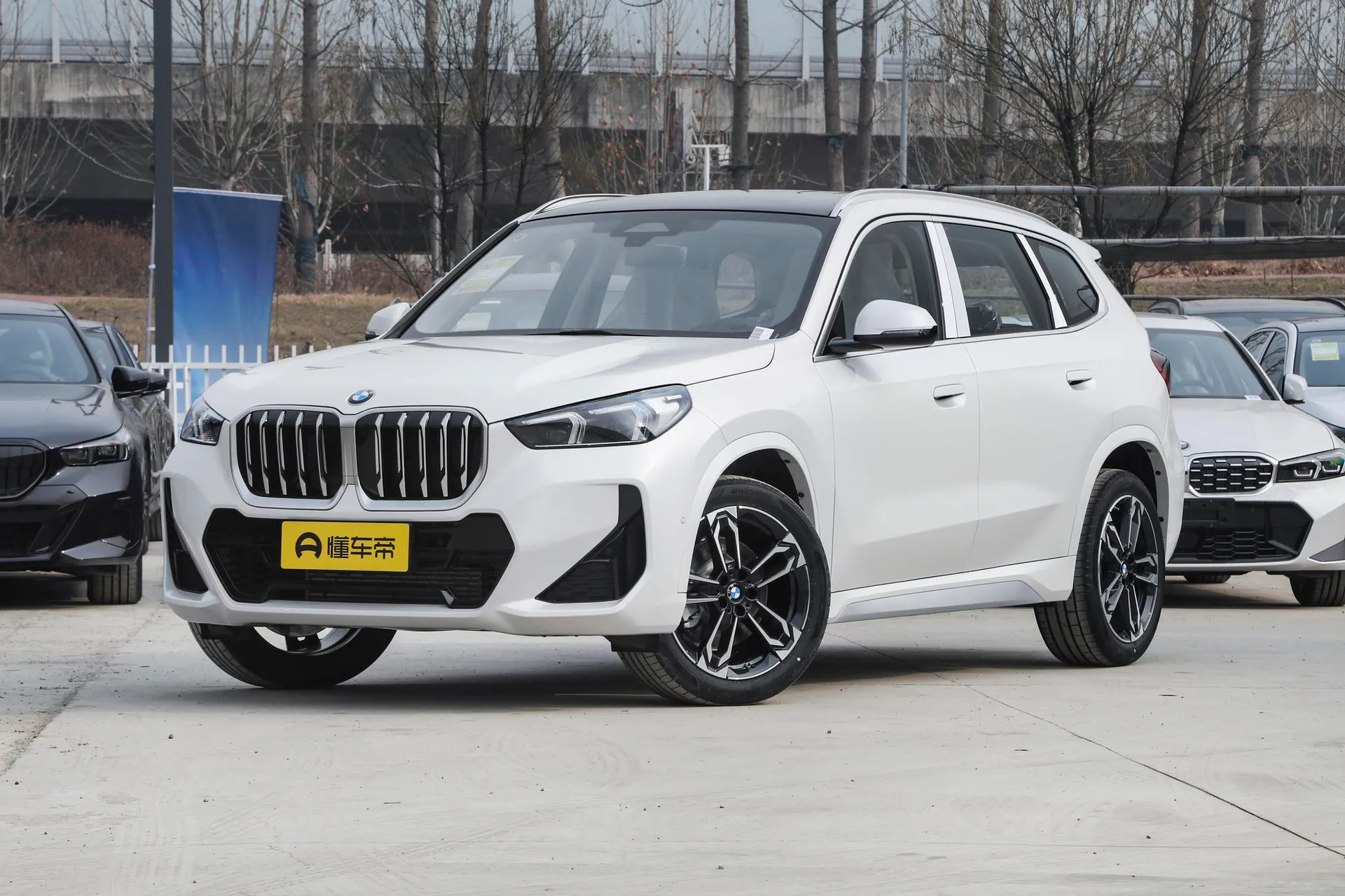  X1 sDrive 25 Li M Sport Package
