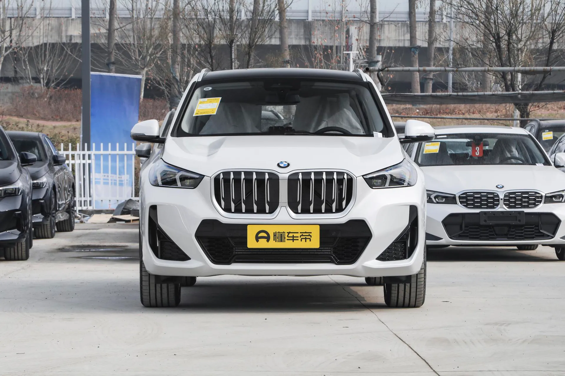  X1 sDrive 25 Li M Sport Package