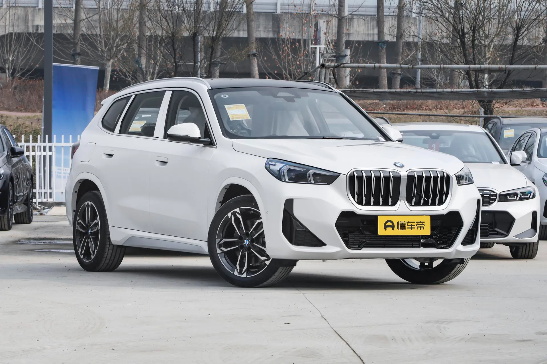  X1 sDrive 25 Li M Sport Package