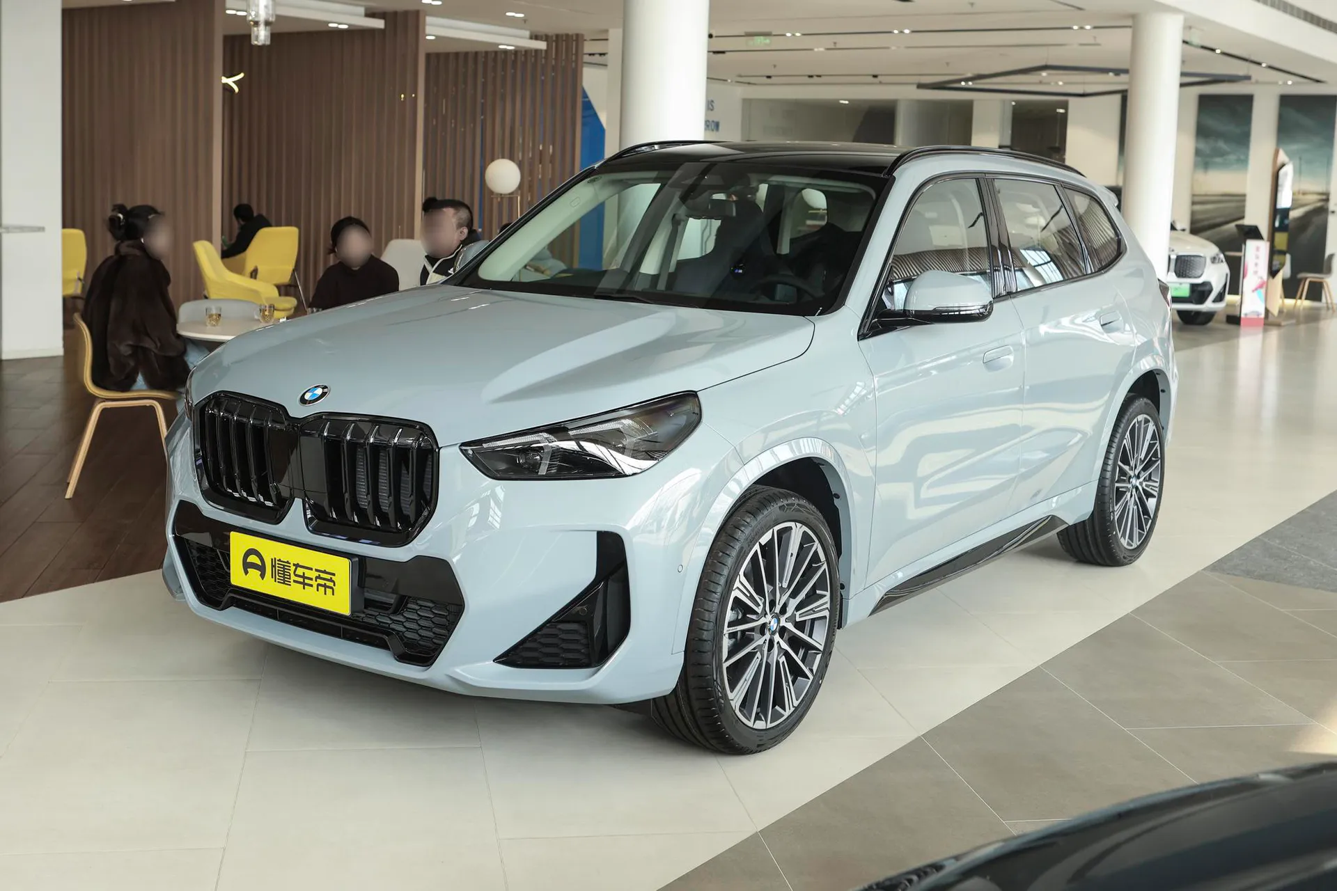  X1 xDrive 25 Li M Sport Night Package