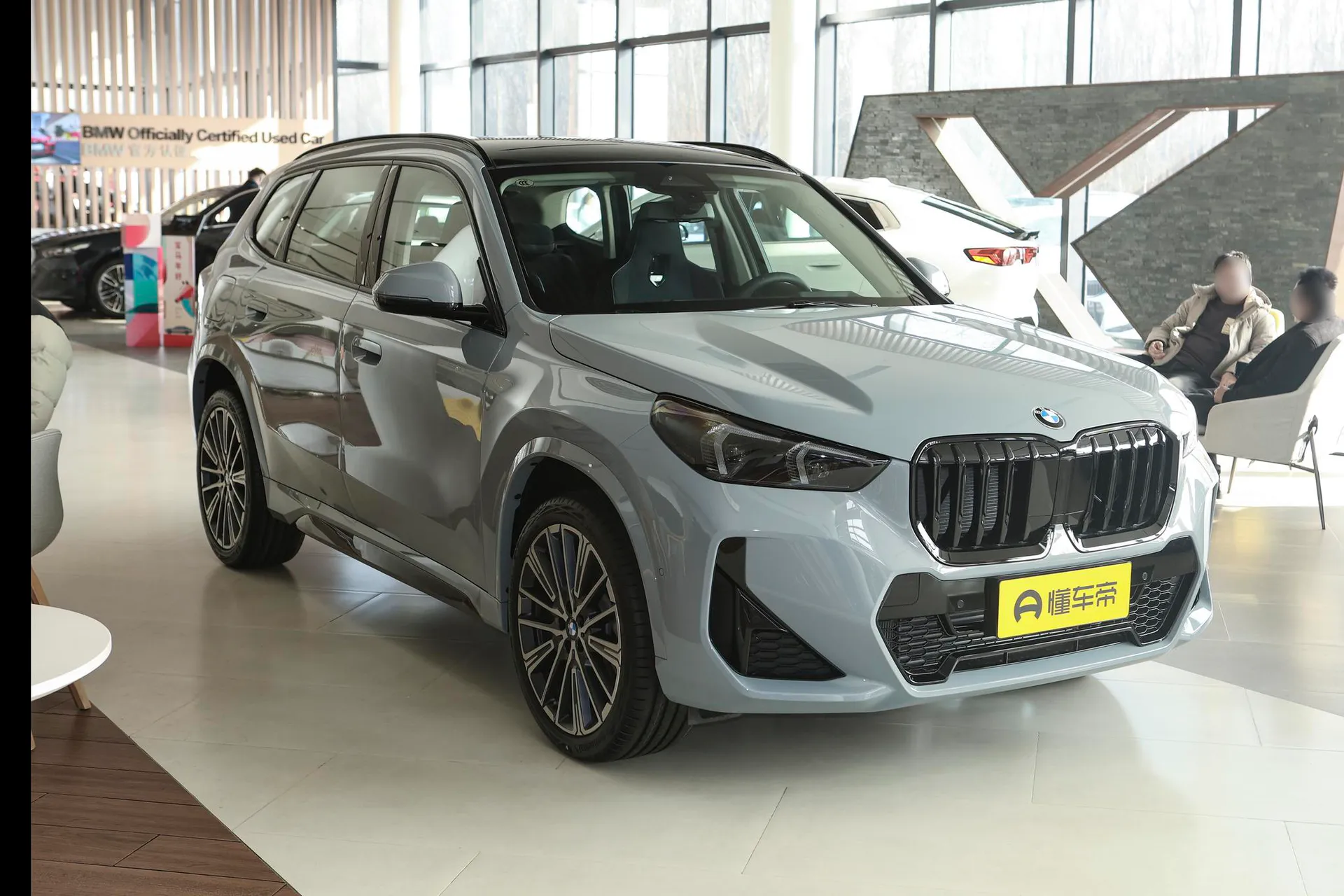  X1 xDrive 25 Li M Sport Night Package