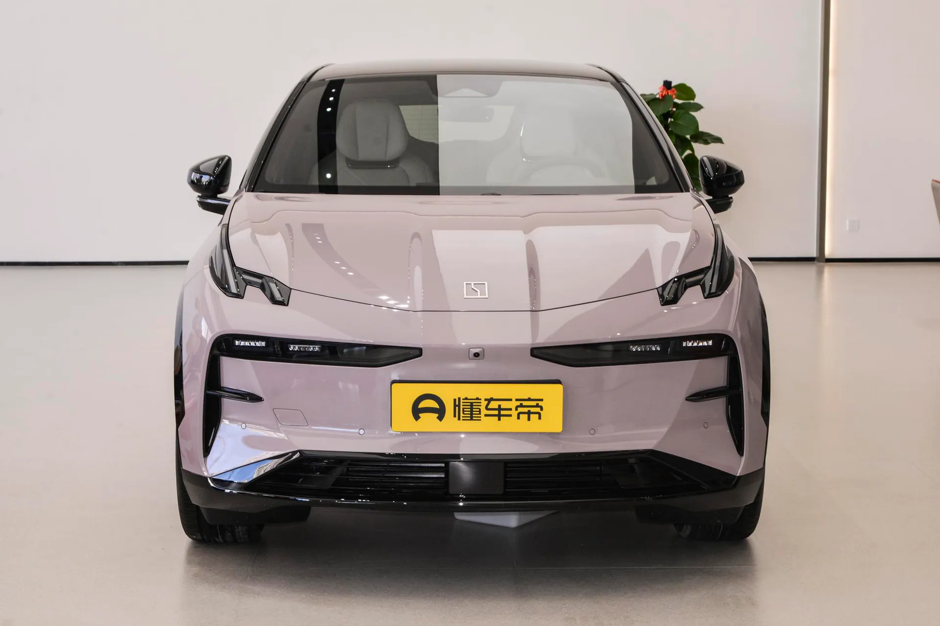 X Max 4-Seater