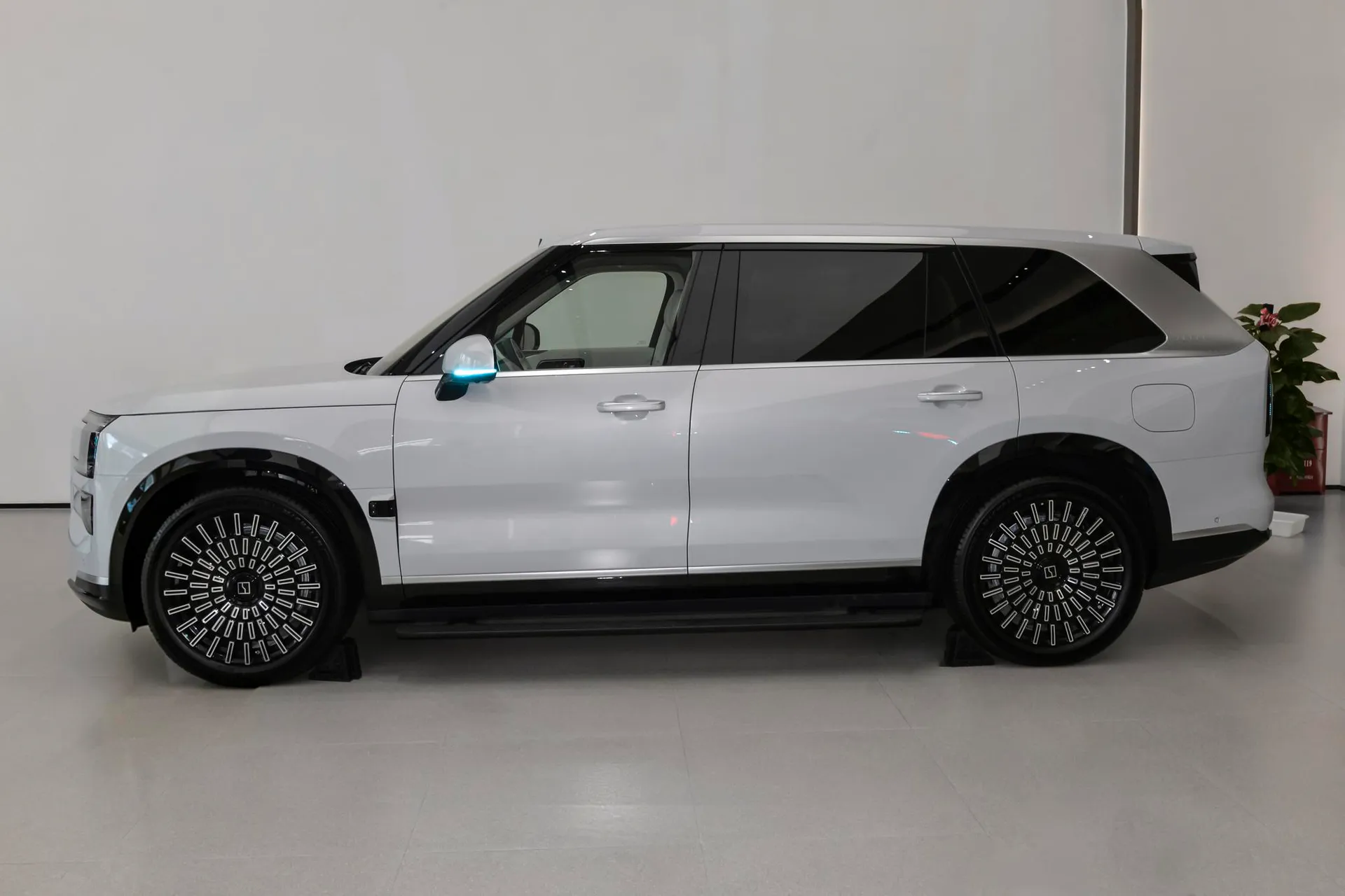  9X Max 55kWh 6-Seater