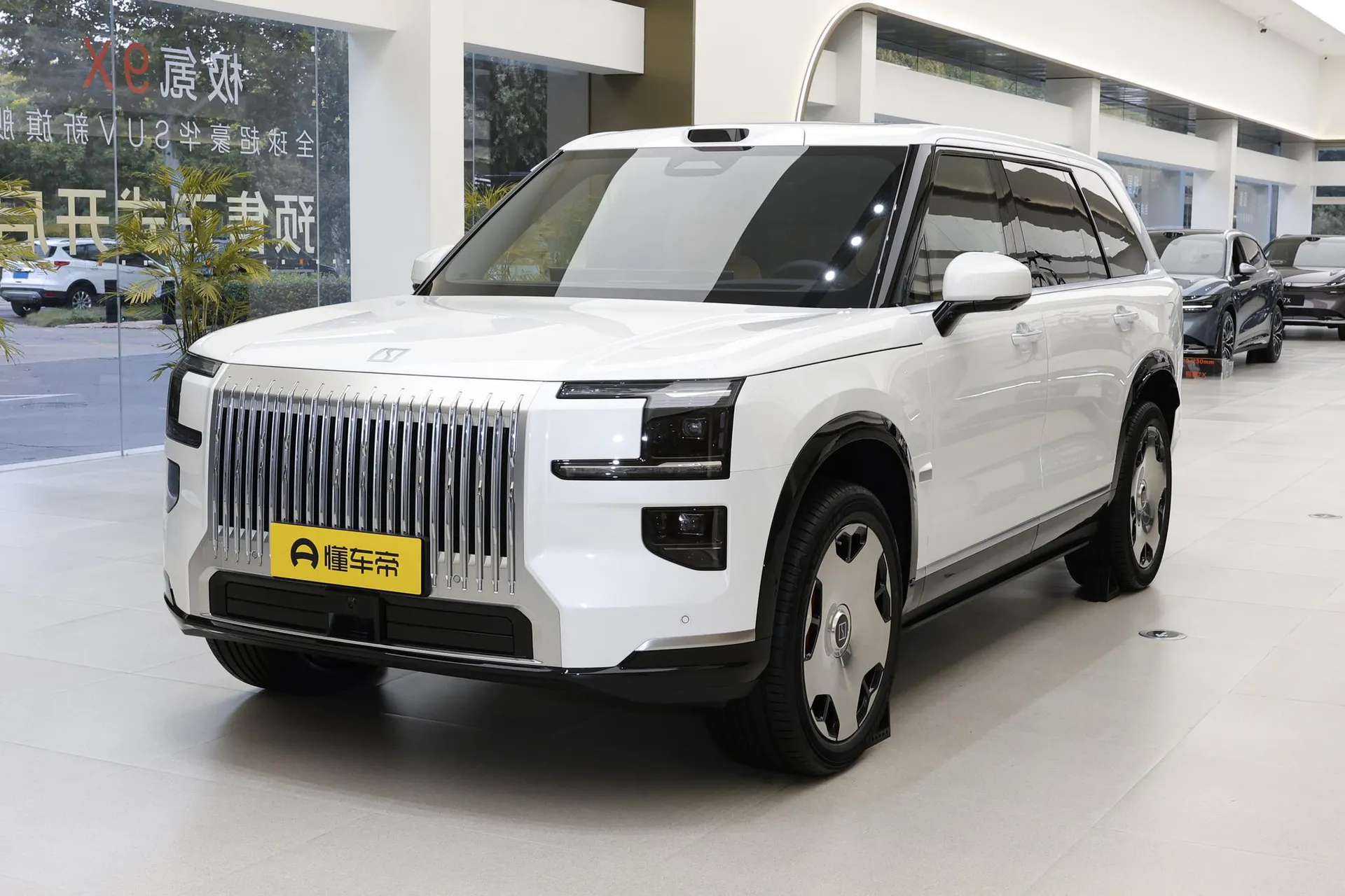 9X Ultra 55kWh 6-Seater