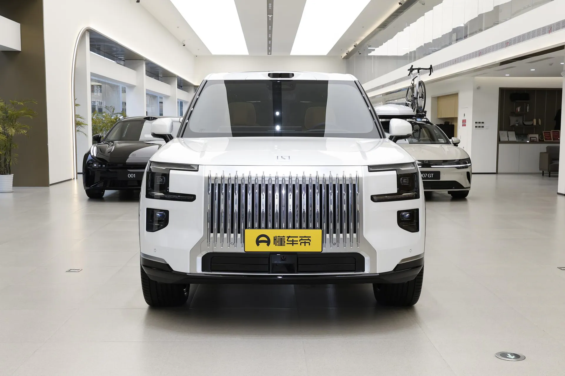  9X Ultra 55kWh 6-Seater