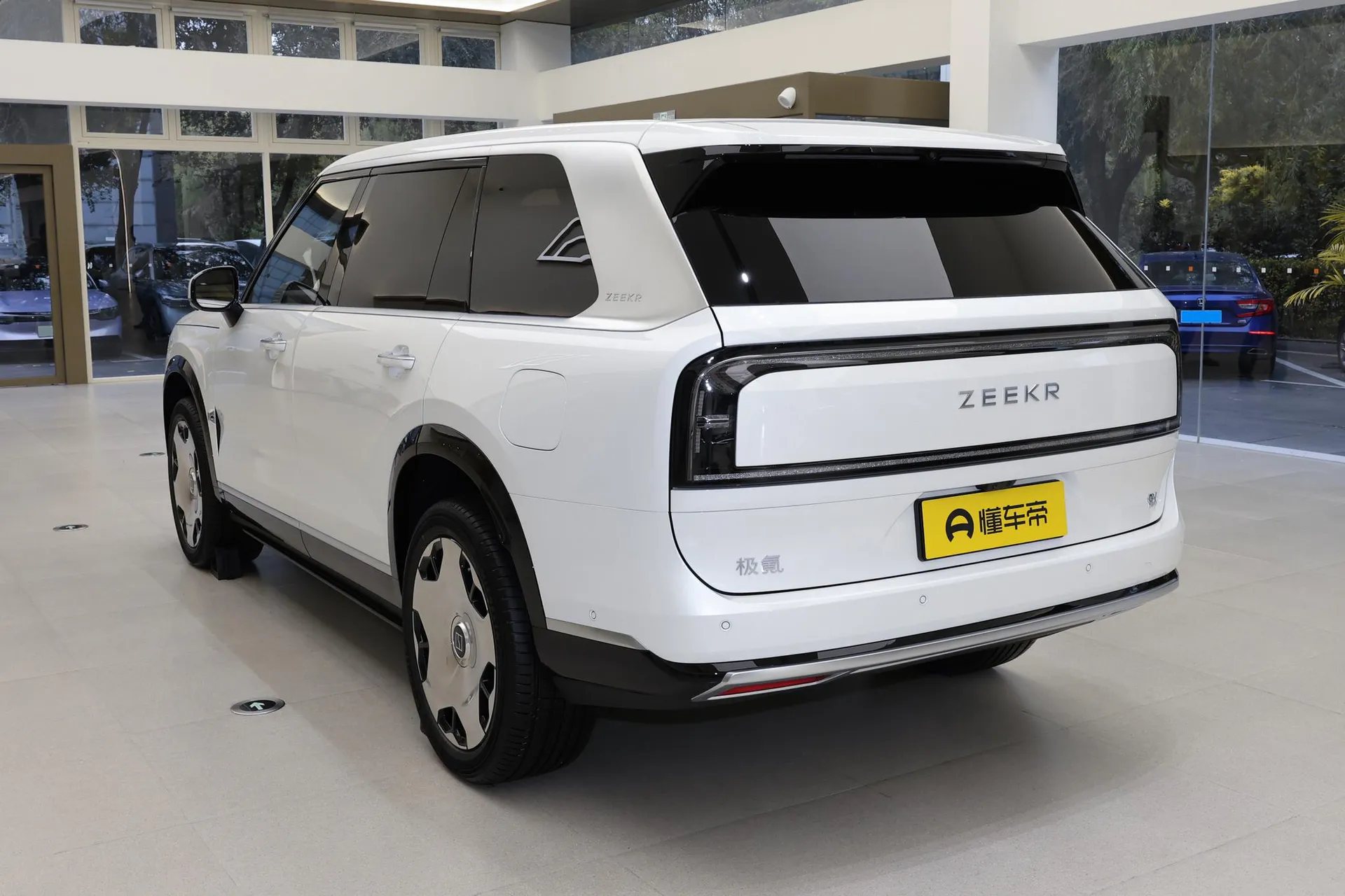  9X Ultra 55kWh 6-Seater