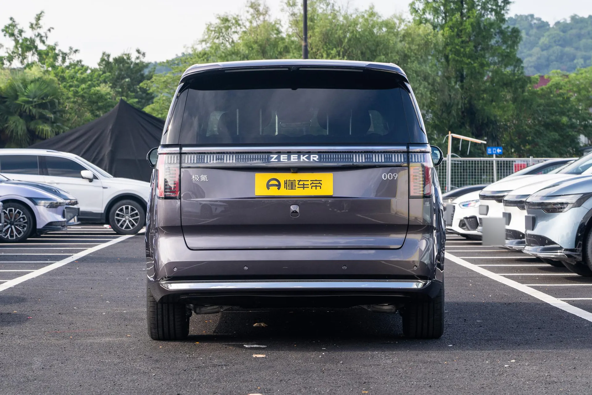  009 6-Seater Executive AWD 108kWh