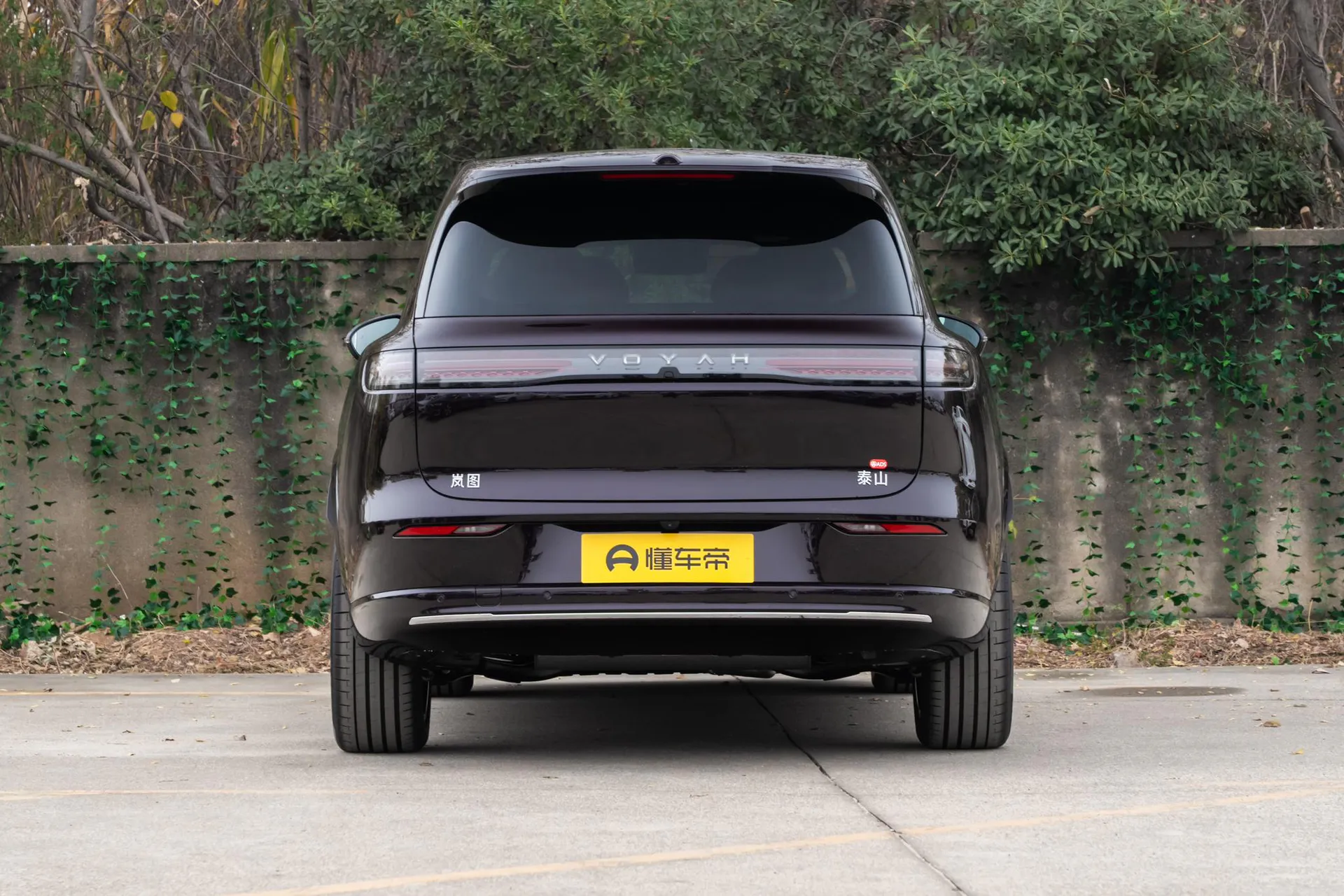 Taishan Max
