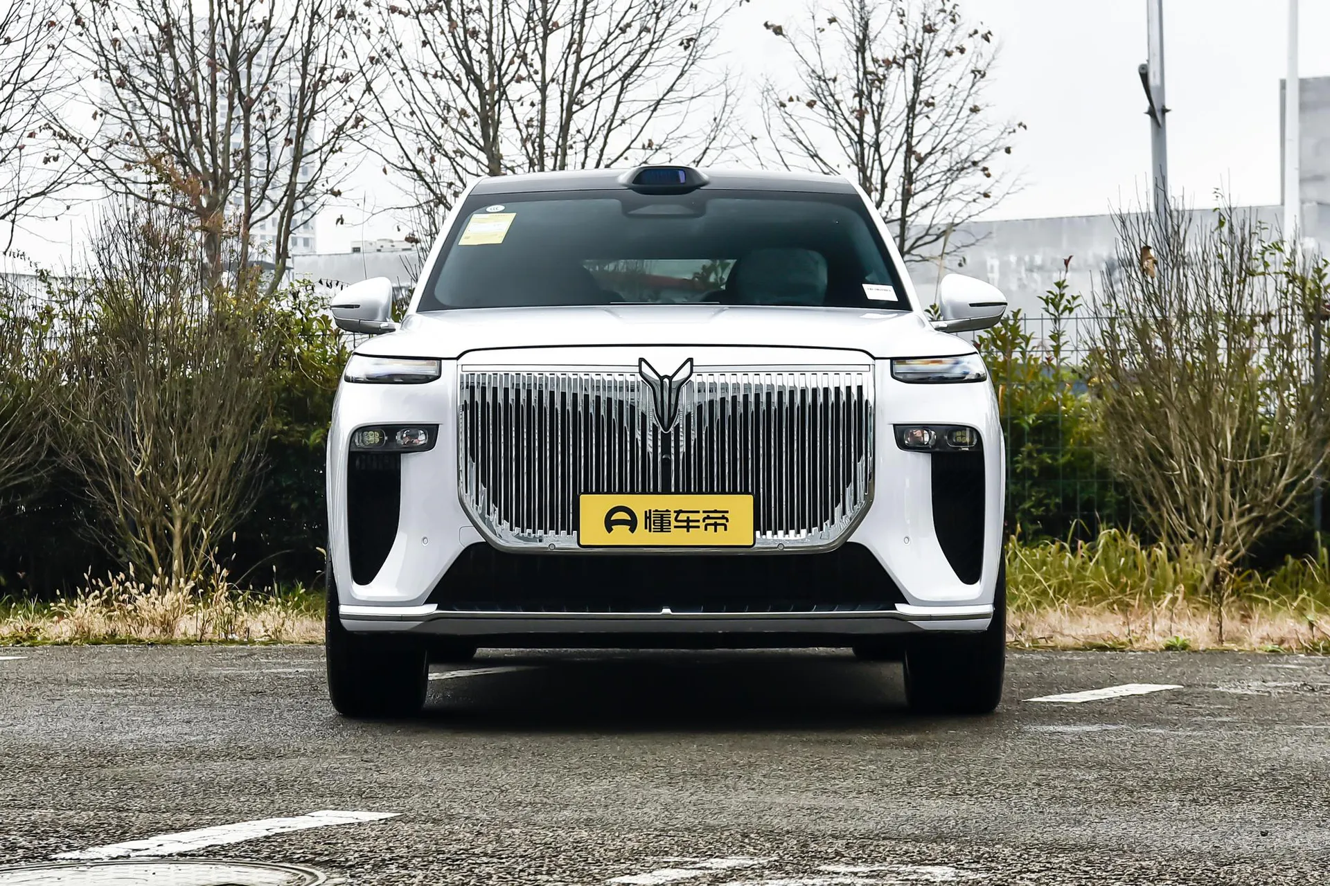  Taishan Max