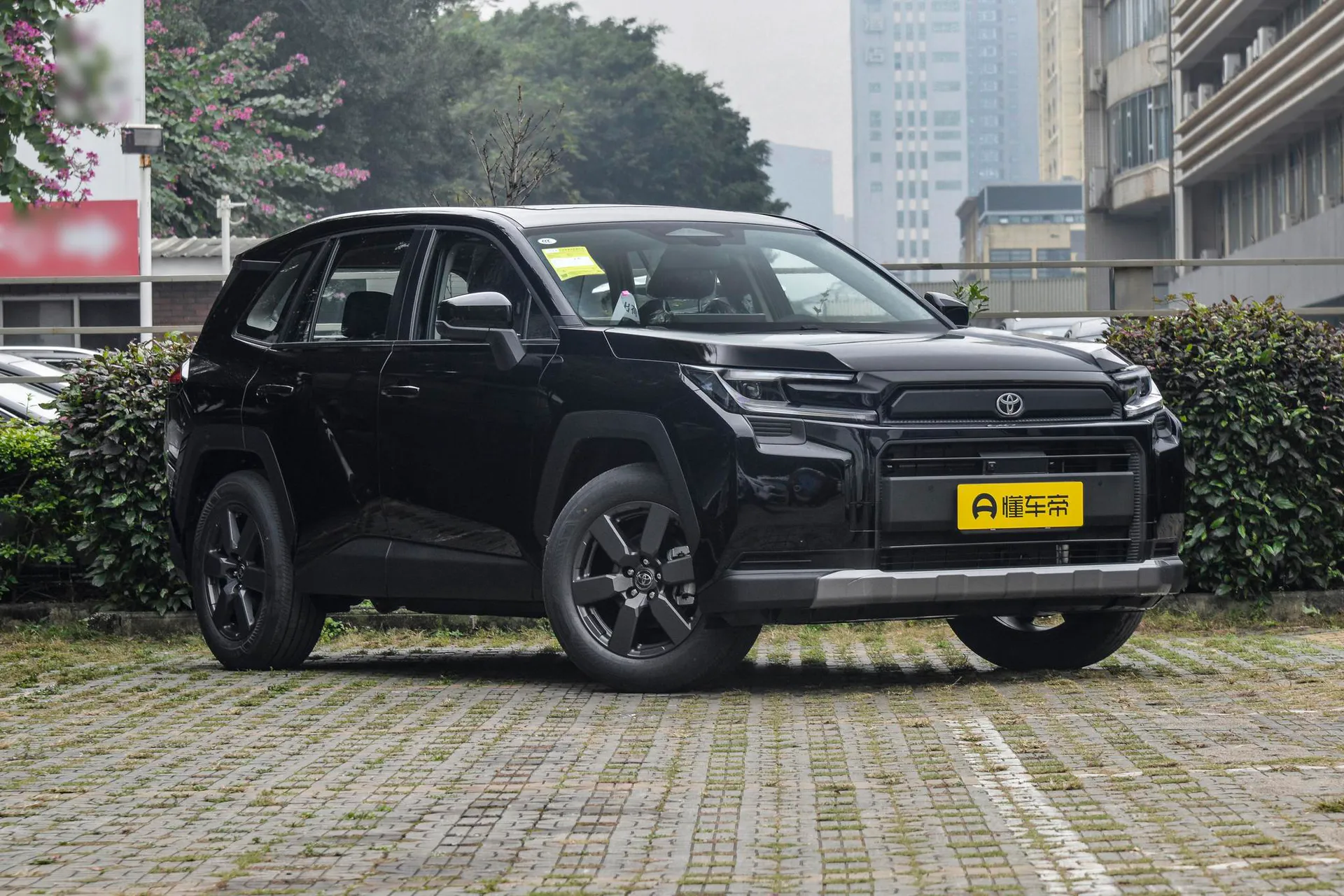  RAV4 Dual Engine 2.5L AWD Luxury