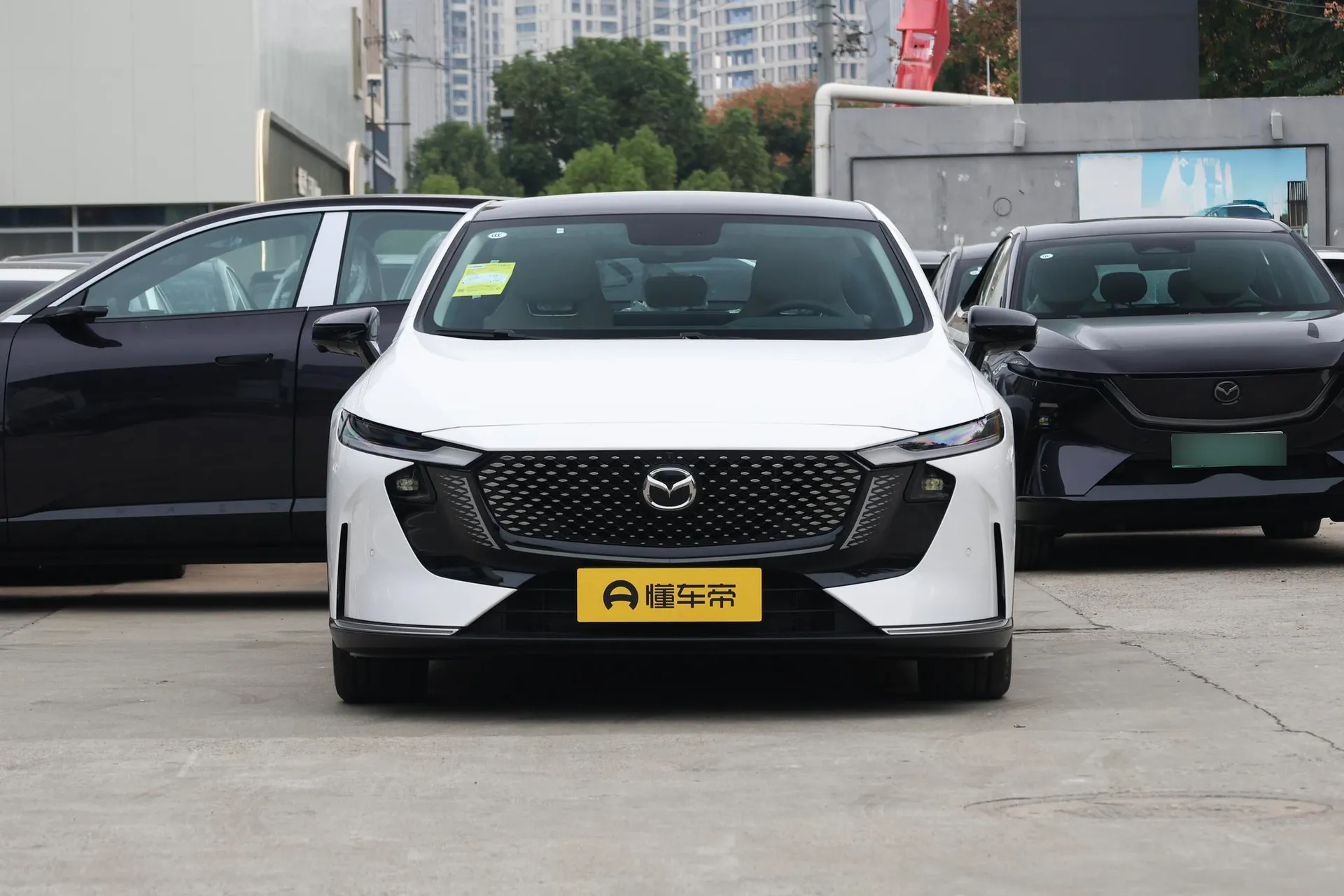  EZ-6 Range Extender 200 Air