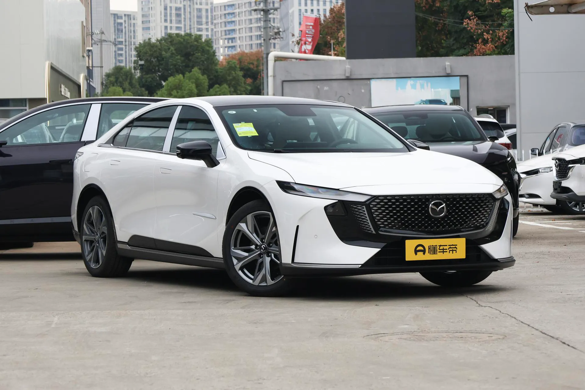  EZ-6 Range Extender 200 Air