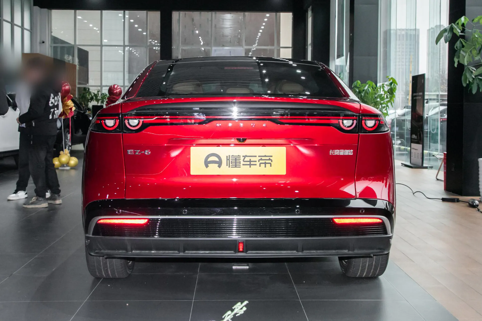  EZ-6 Range Extender 200 Pro
