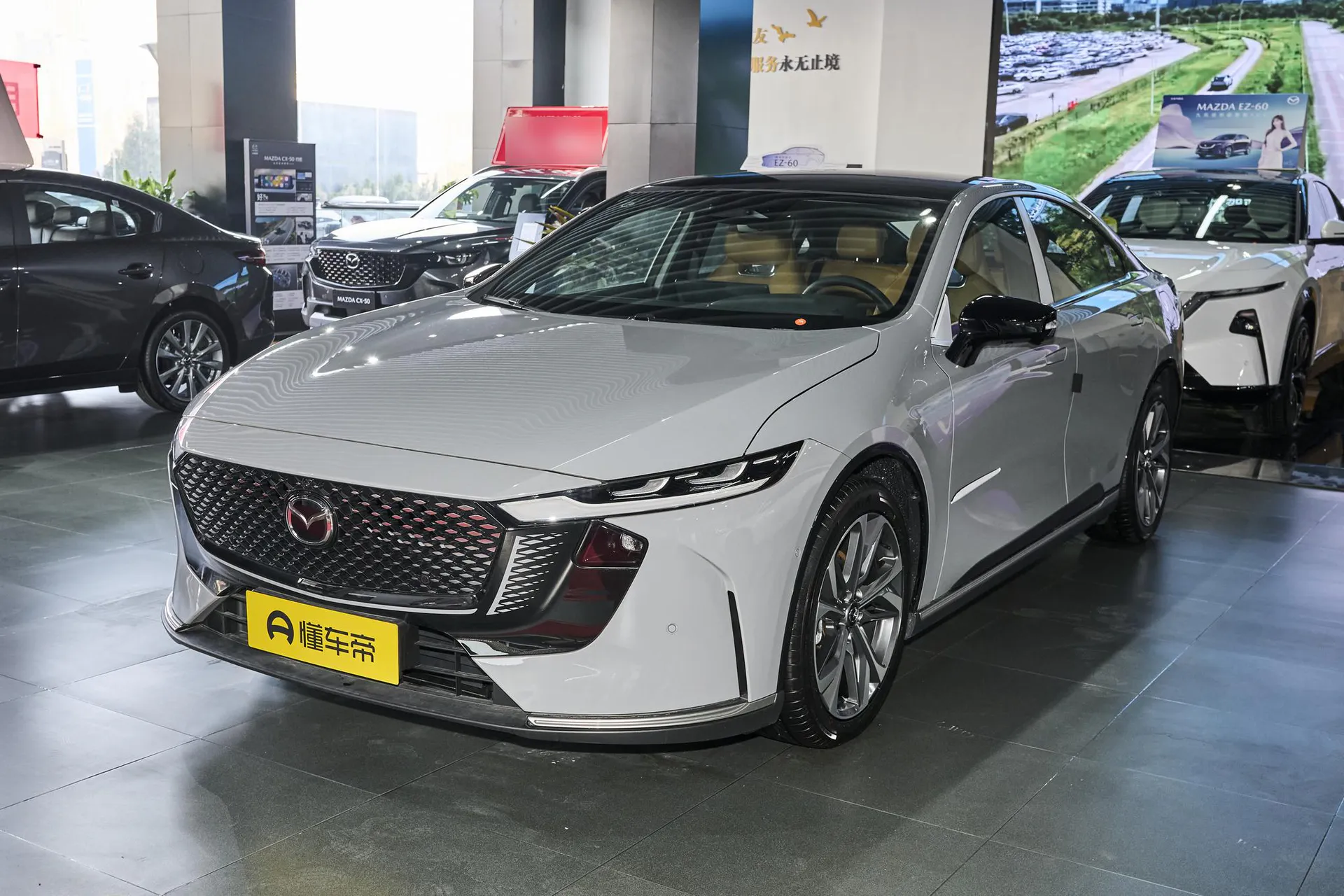  EZ-6 Range Extender 200 Pro