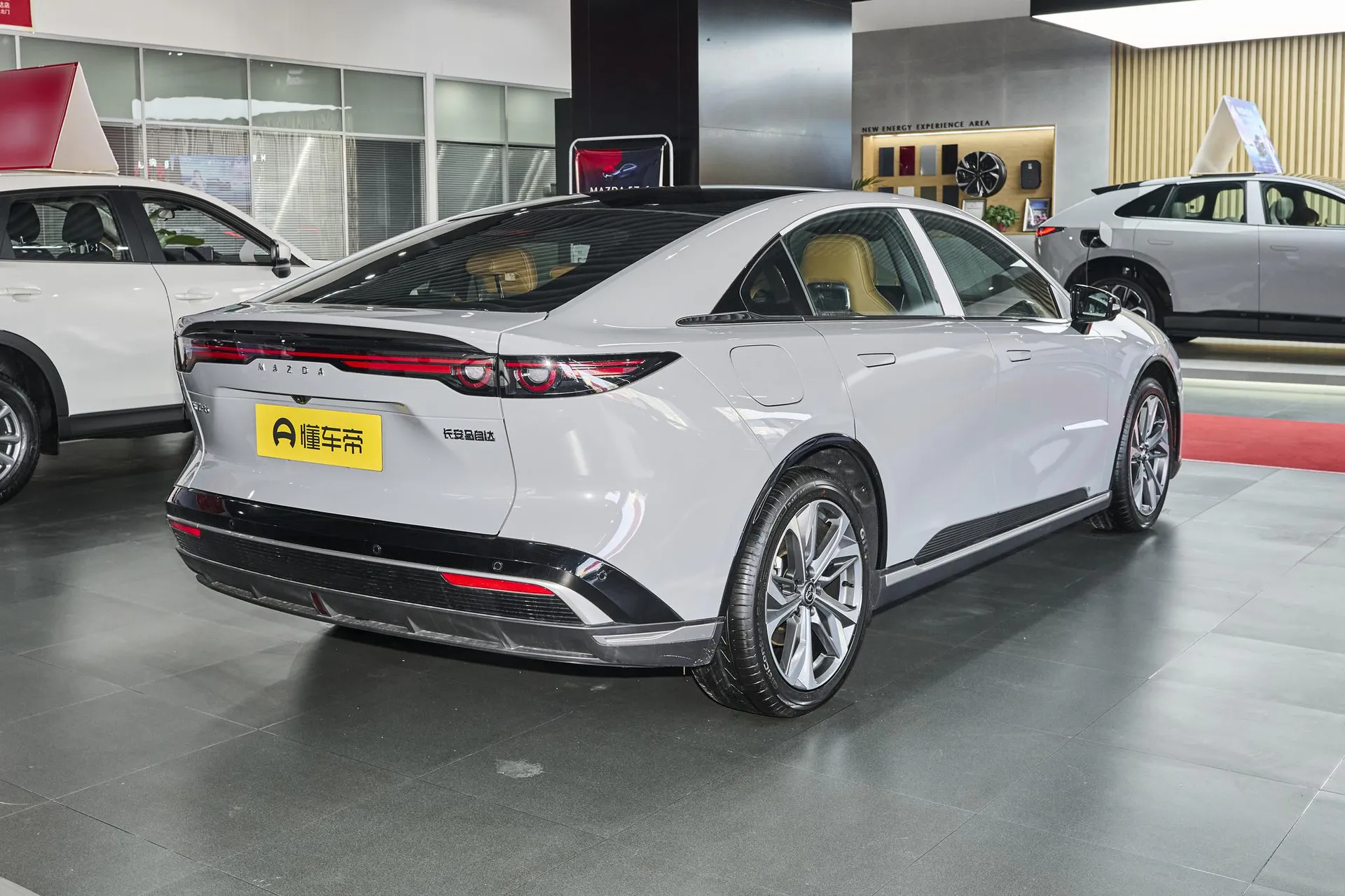 EZ-6 Range Extender 200 Pro