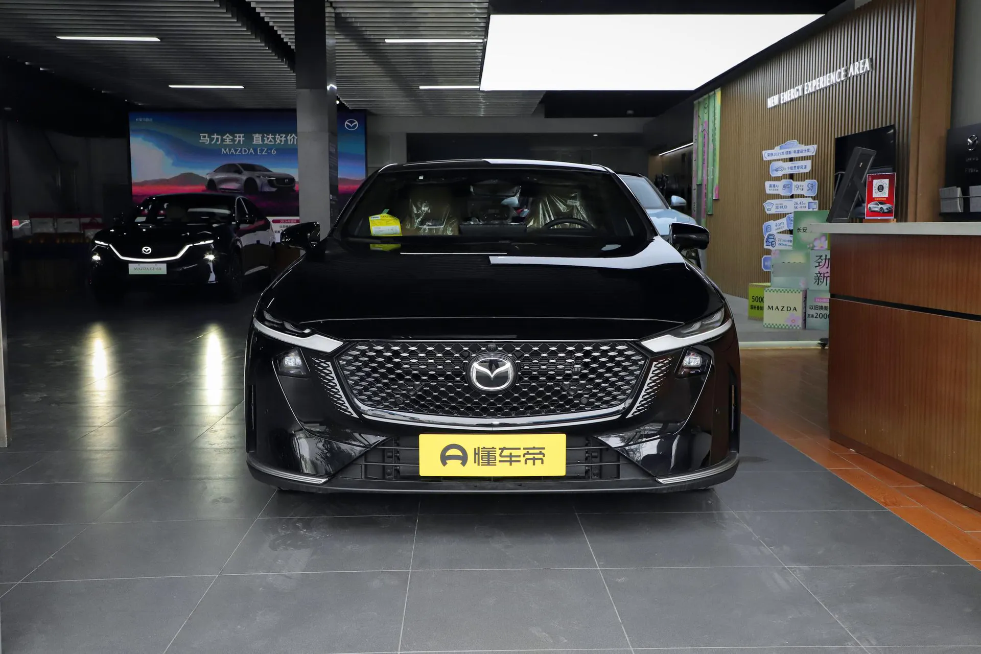  EZ-6 Range Extender 200 Max